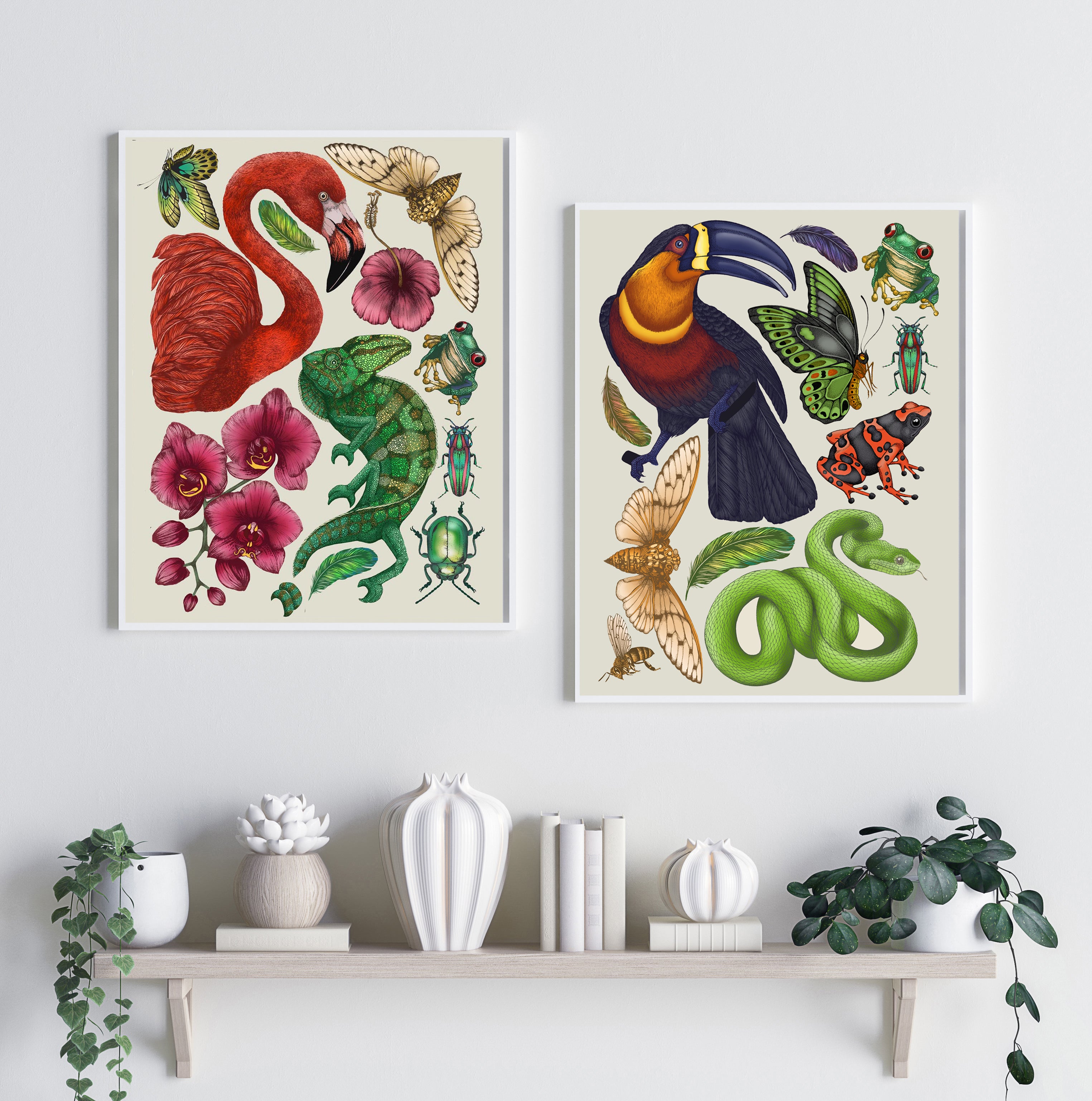 'Tropical Toucan' Fine Art Print