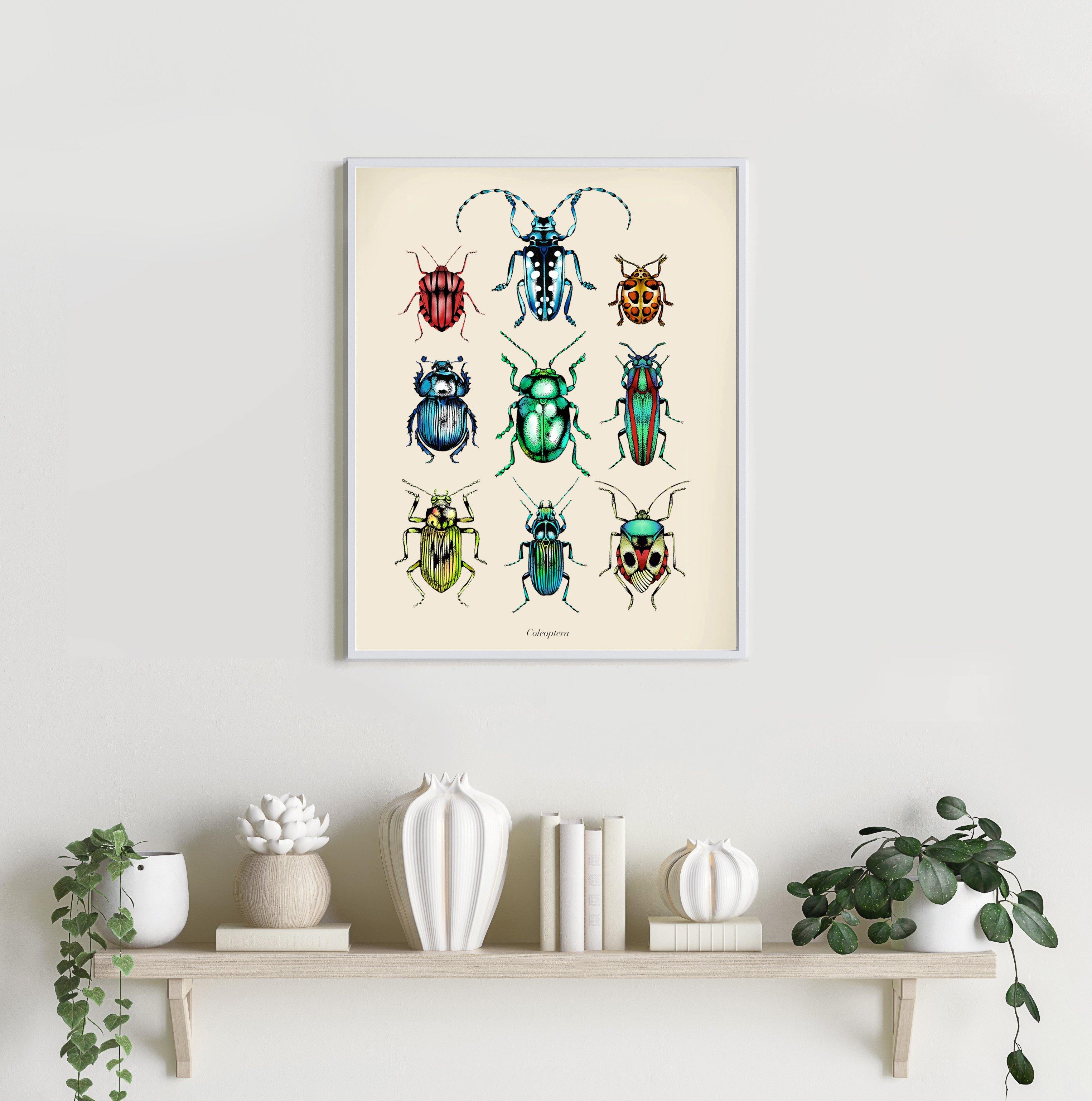 'Antique Tropical Beetles' Fine Art Print - Emily Carter London