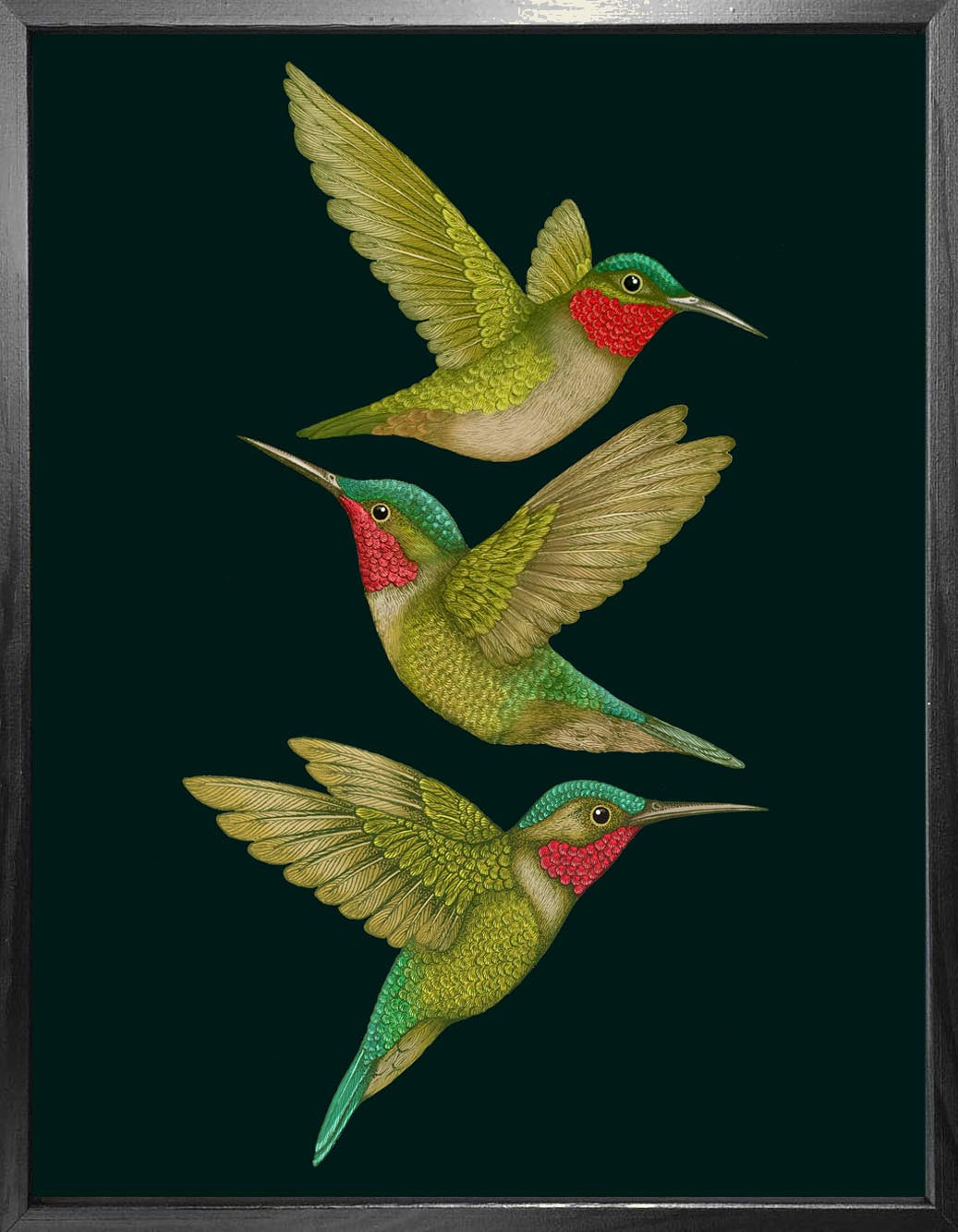 'Tropical Hummingbirds' Charcoal Fine Art Print