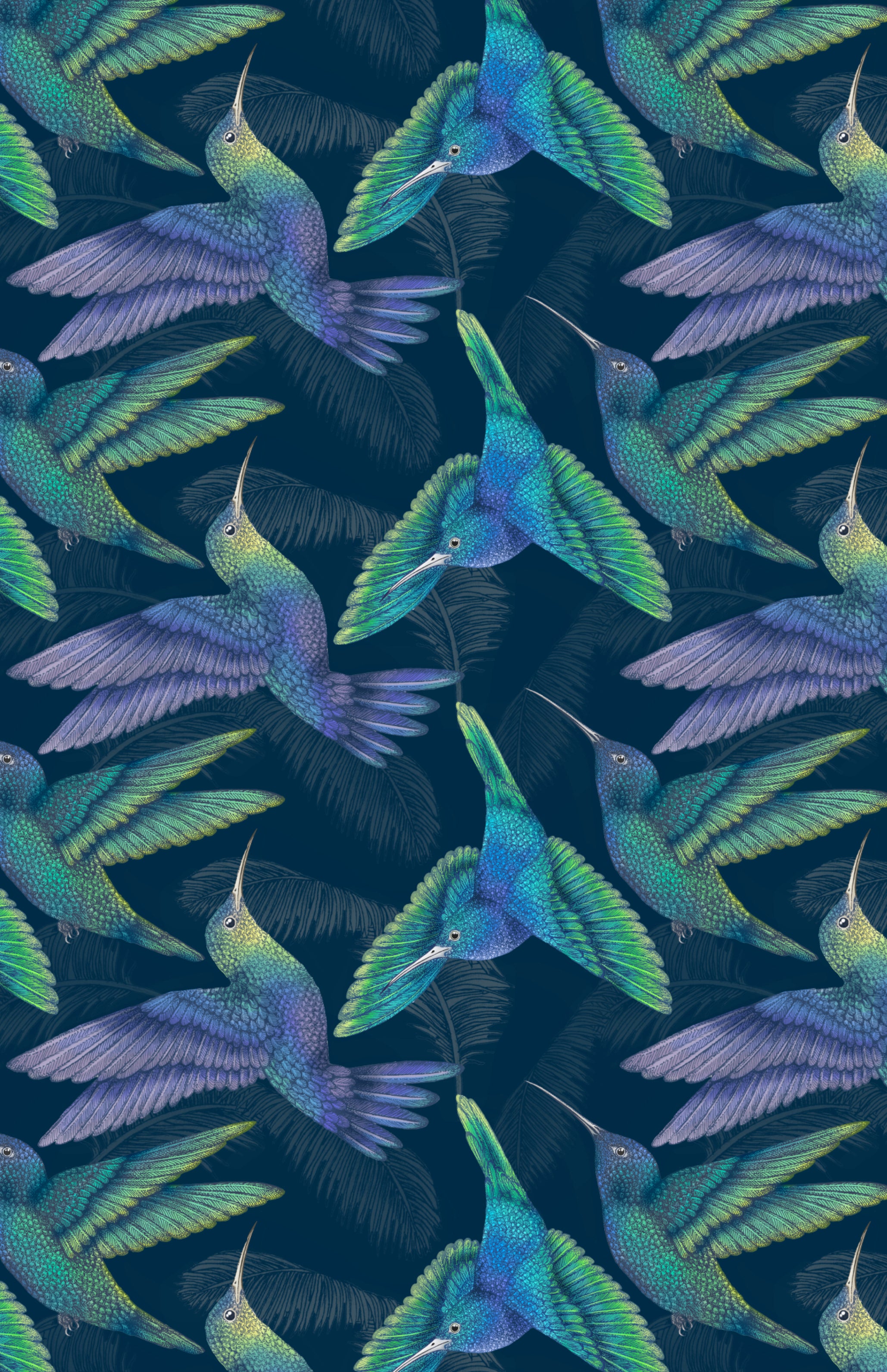 Midnight Hummingbird Wallpaper