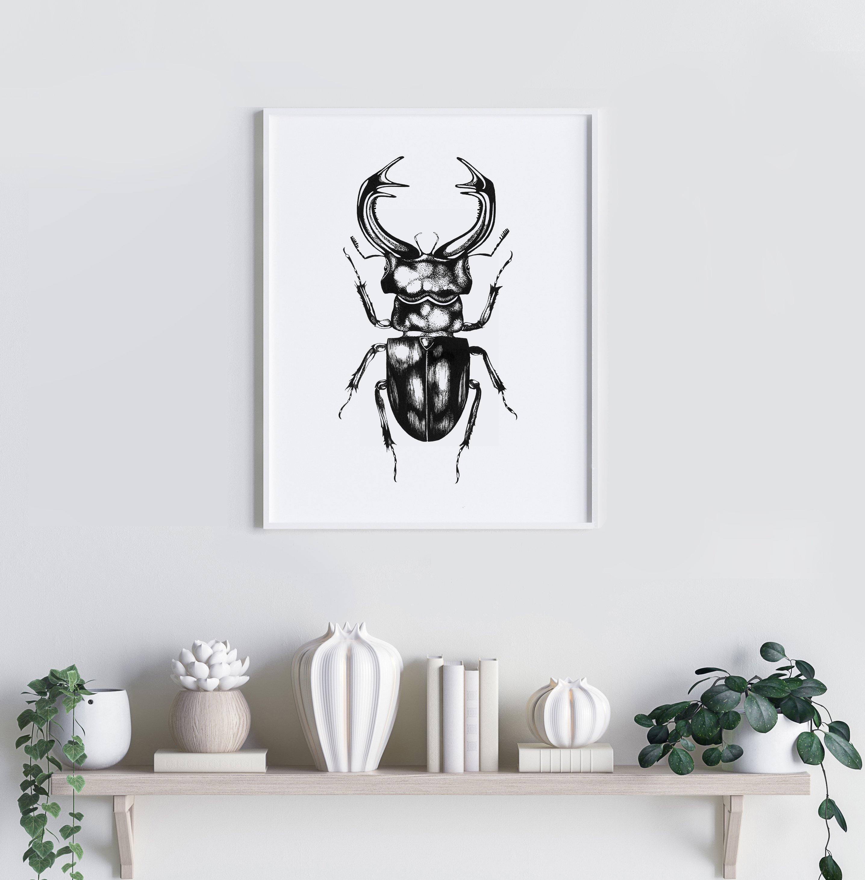 'The Stag Beetle' Fine Art Print - Emily Carter London