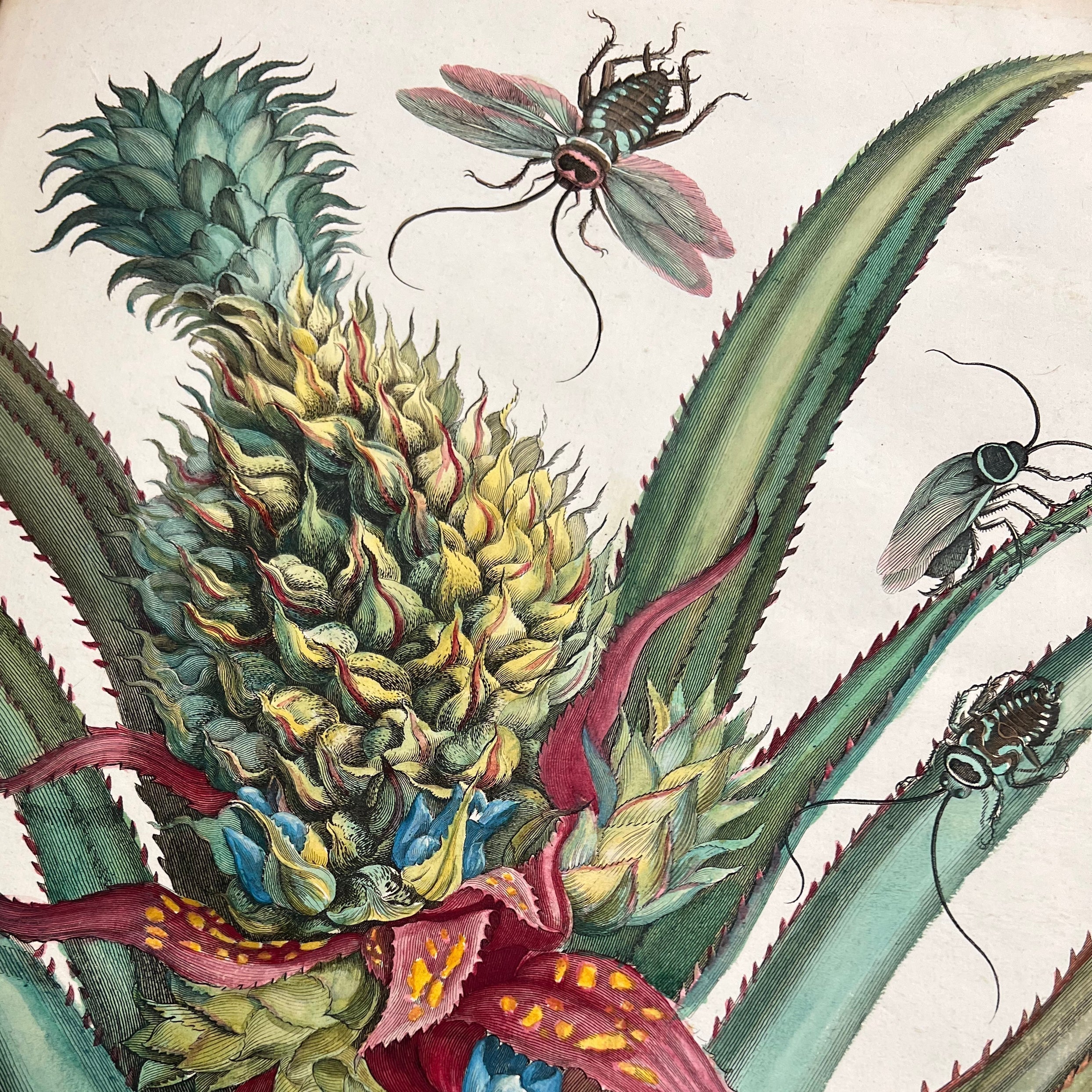ZSL Zoological Archives