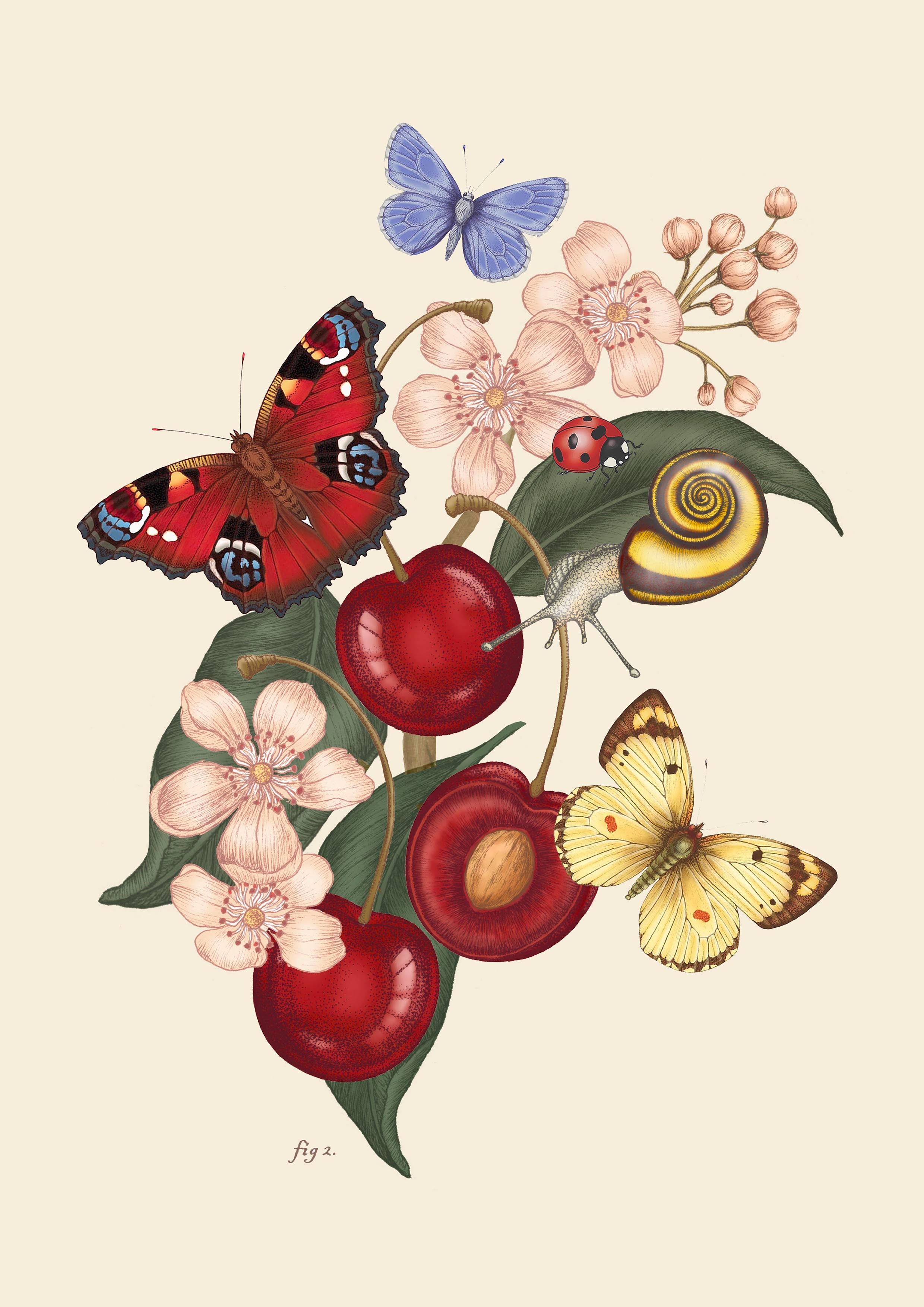 The Peacock & Cherry Blossom Silk Scarf | 90x90cm [Preorder]