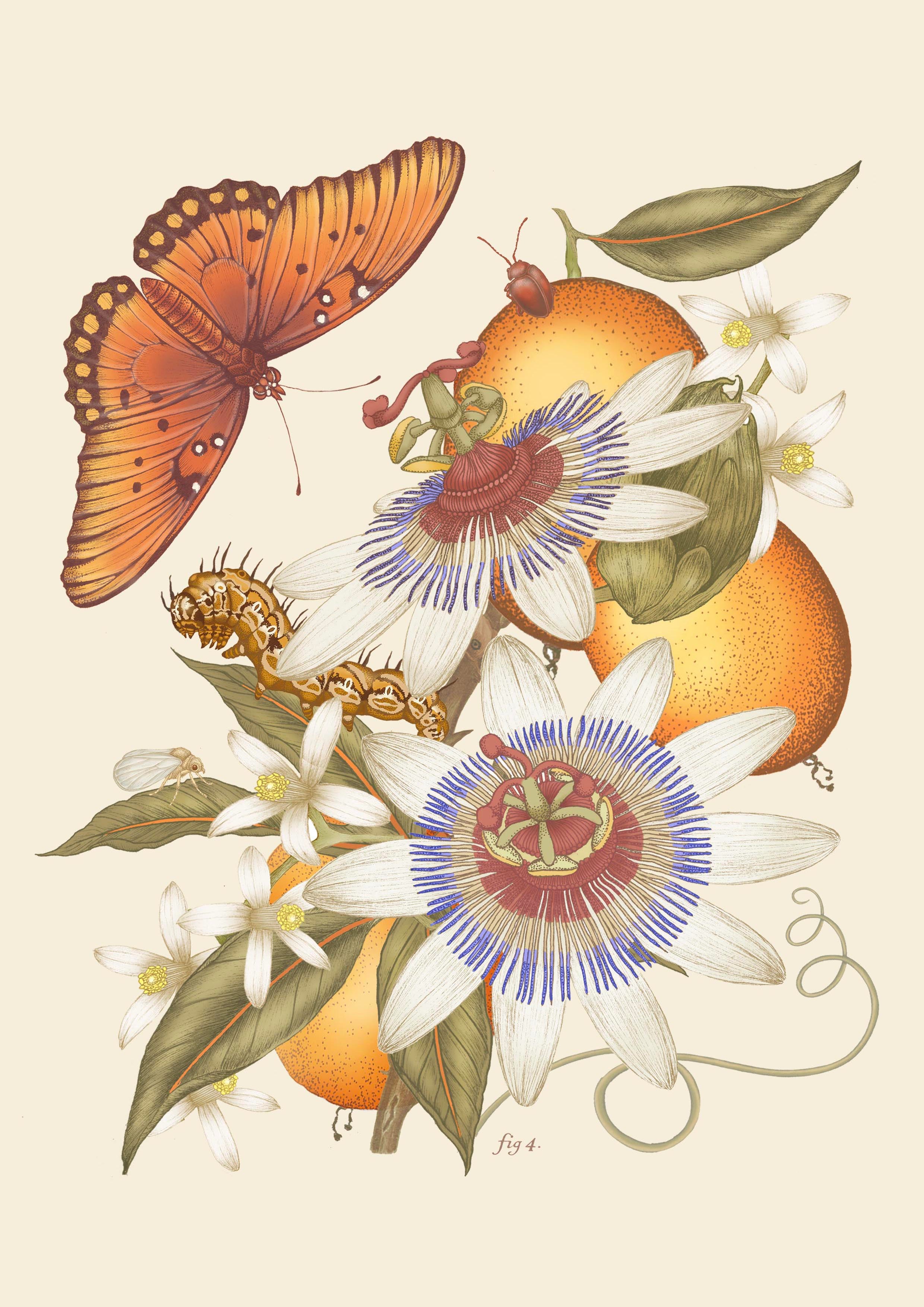 The Fritillary & Passion Flower Silk Scarf | 90x90cm [Preorder]