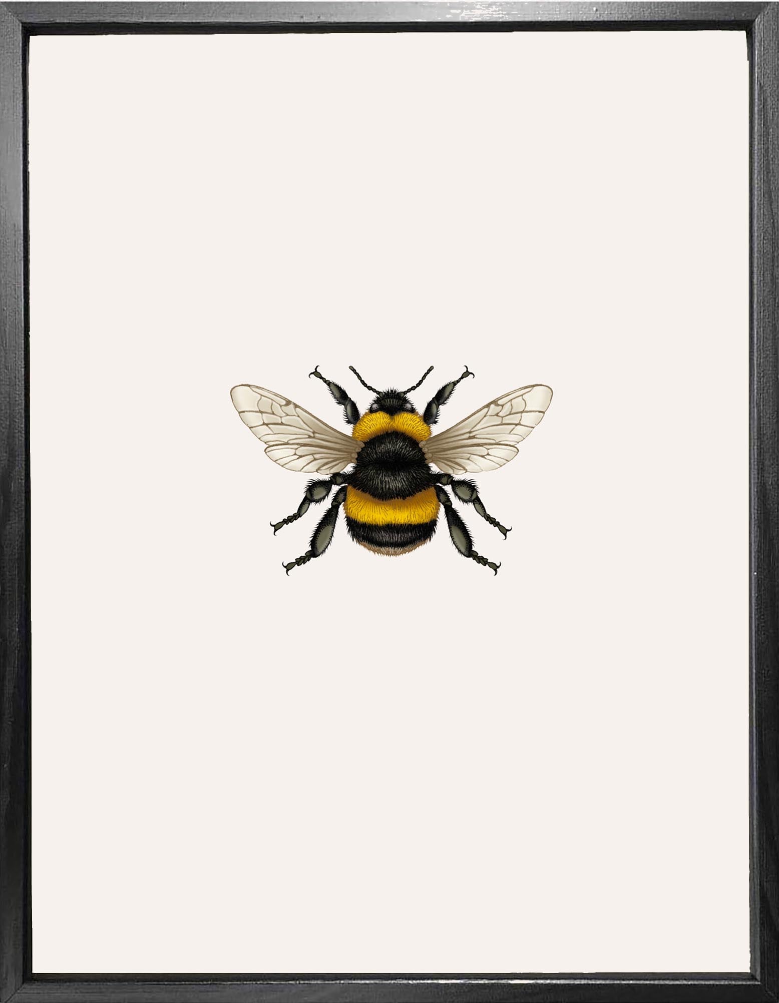 'British Bumble Bee' Fine Art Print