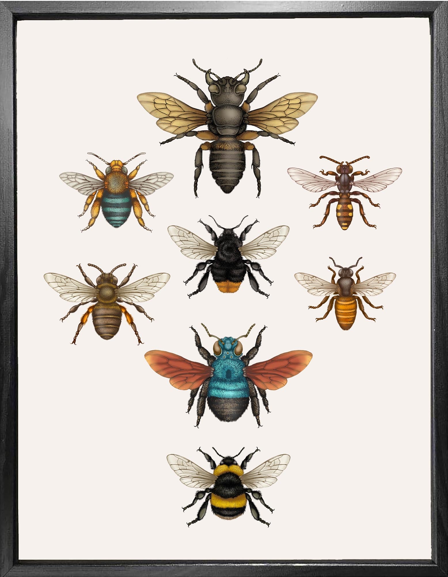 'British Bees' Fine Art Print