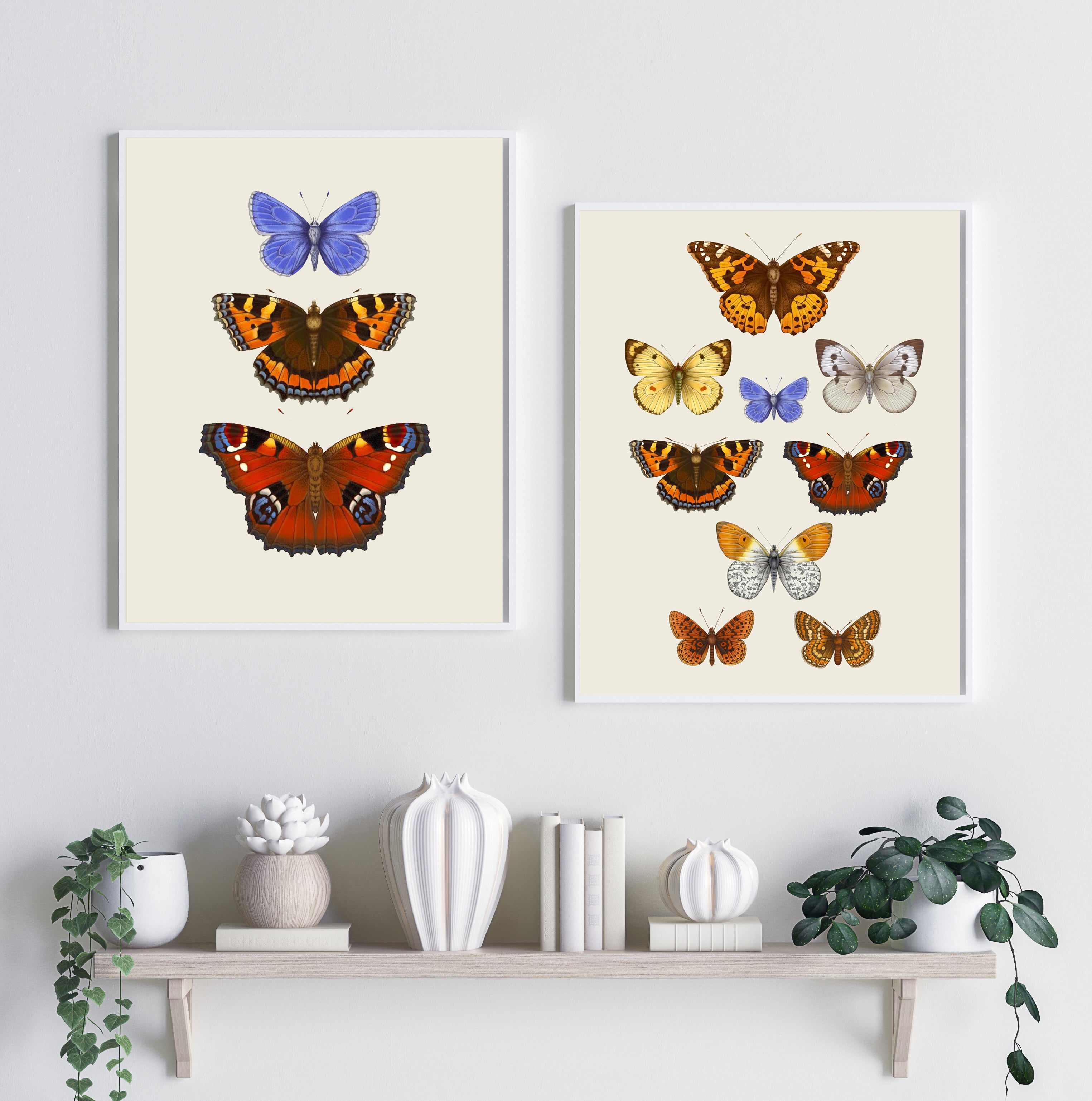 Antique British Butterflies VII' Fine Art Print