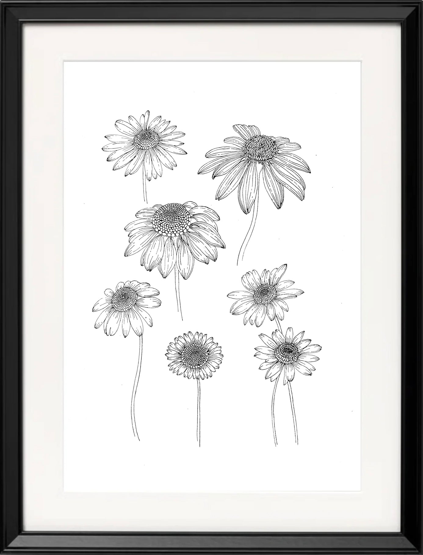 'Daisies, 2023' | Signed Original A4 Illustration