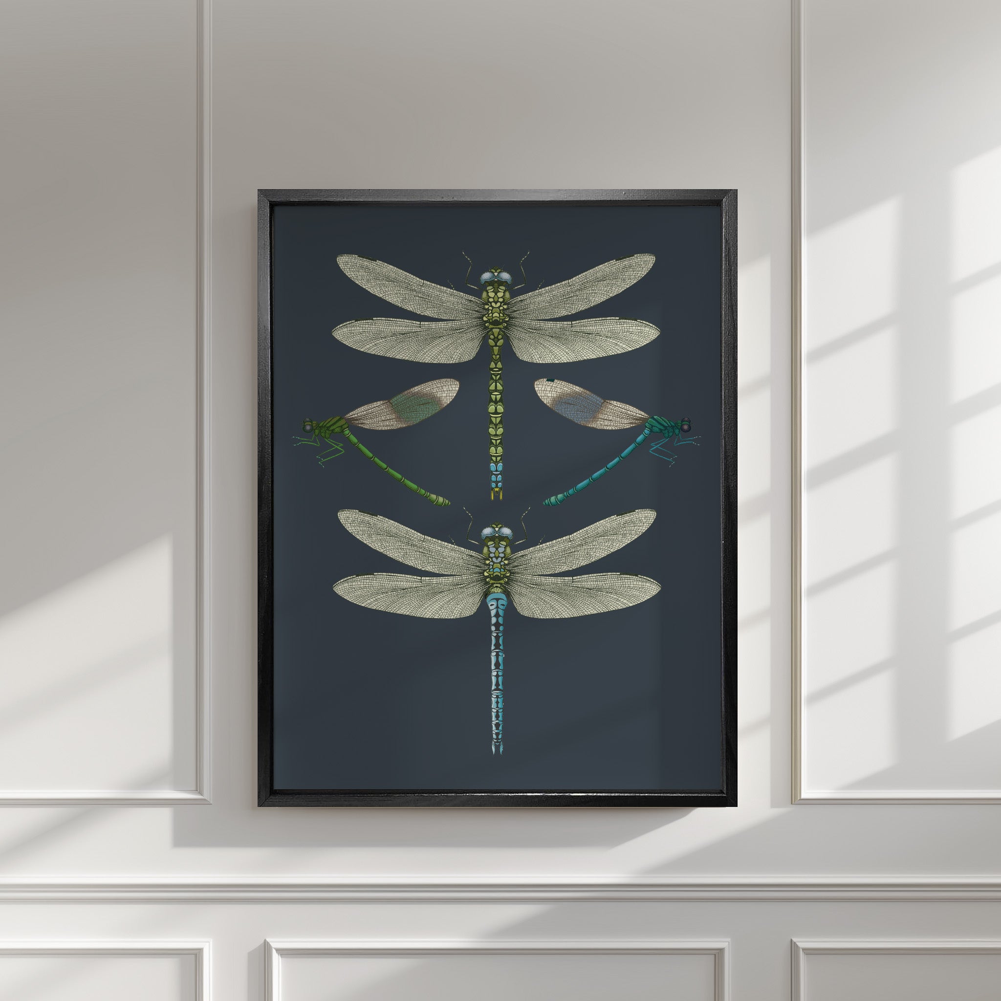 'Dragonflies & Damselflies - Navy' Fine Art Print
