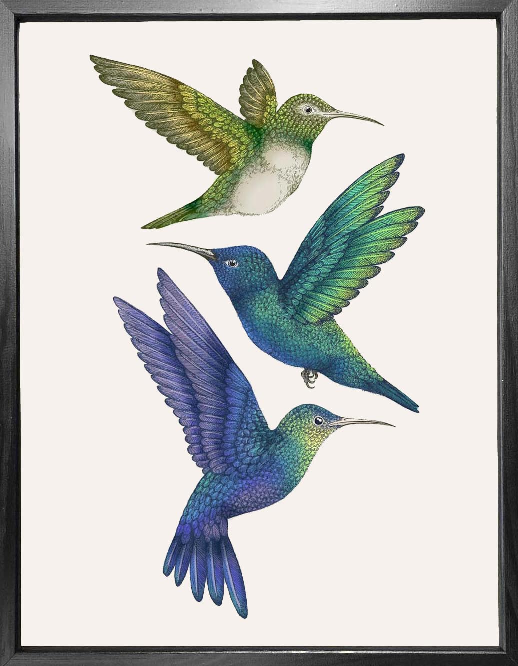 'Antique Hummingbirds II' Fine Art Print