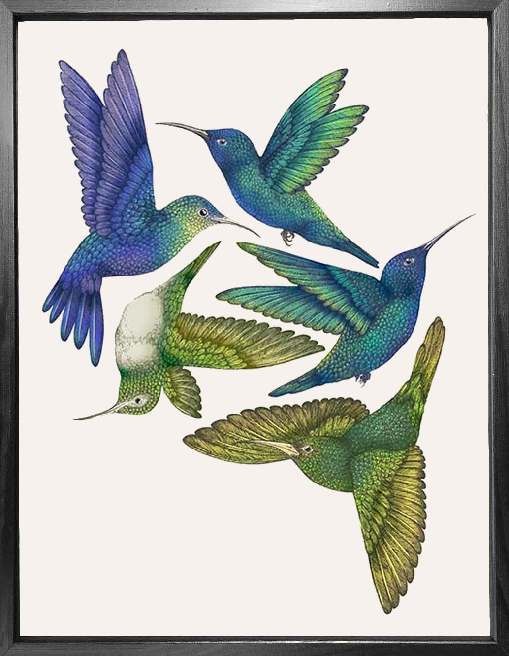 'Antique Hummingbirds I' Fine Art Print