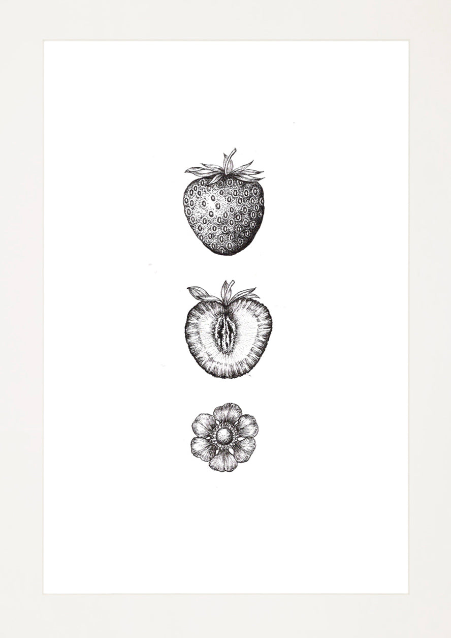 'Strawberries, 2026' | Signed Original A4 Illustration