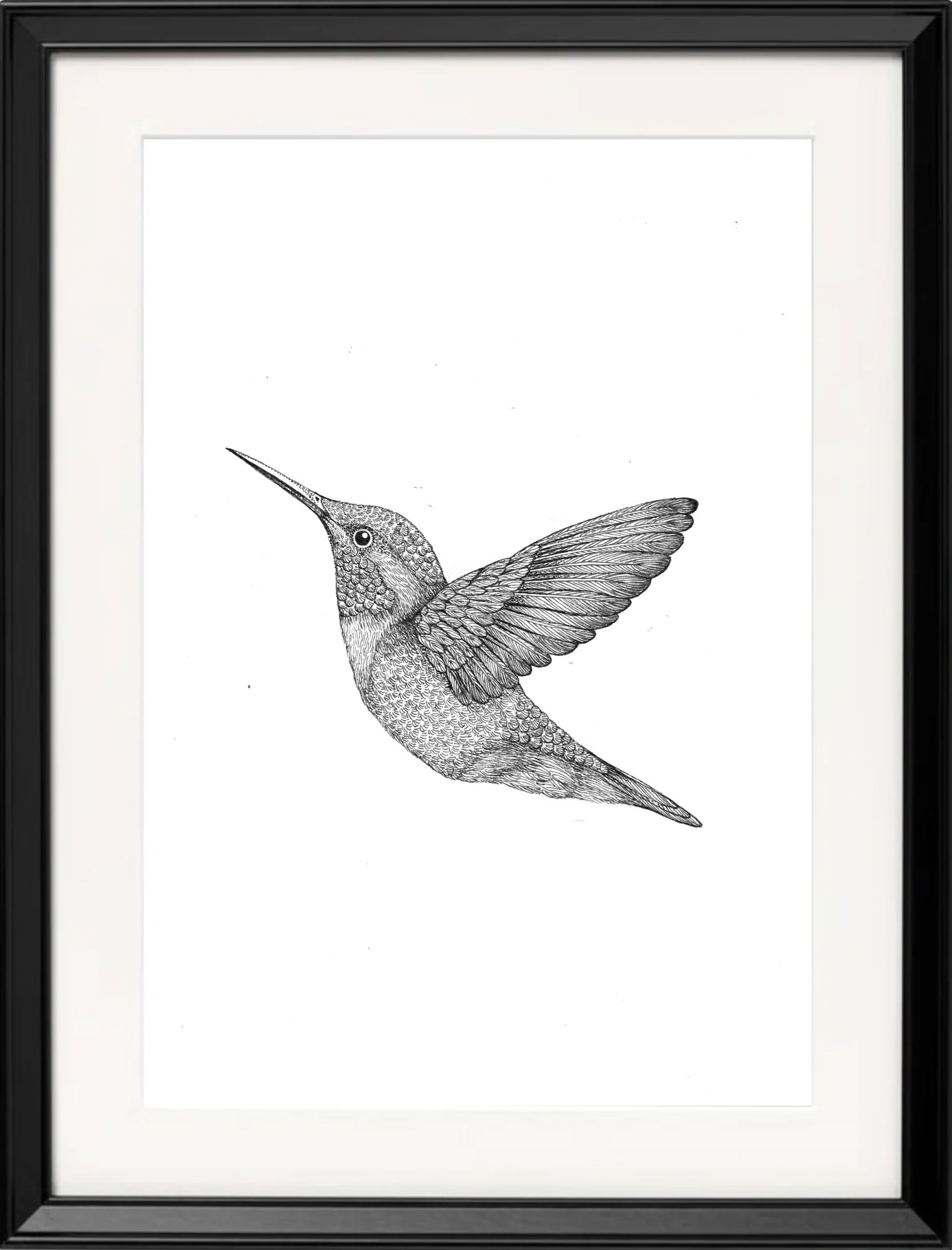'Hummingbird, 2024' | Signed Original A4 Illustration