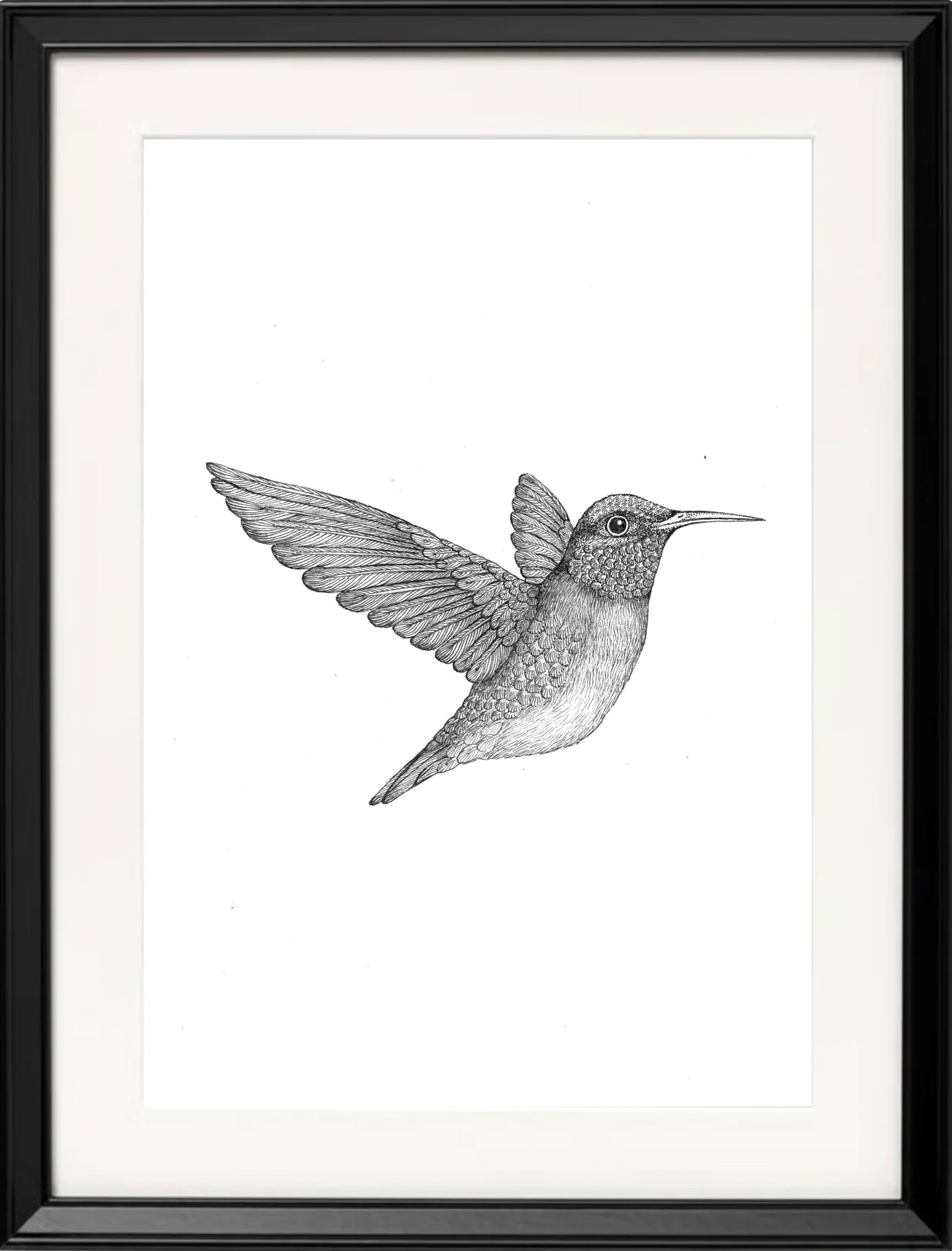 'Hummingbird II, 2024' | Signed Original A4 Illustration