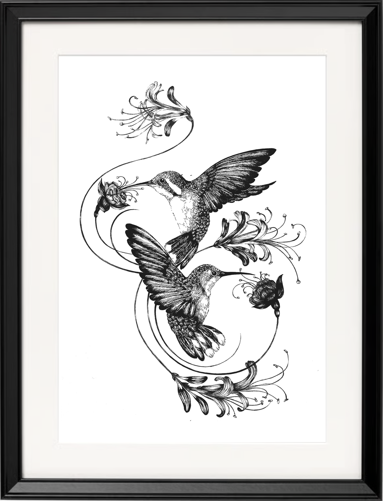 'Hummingbirds & Honeysuckle, 2015' | Signed Original A3 Illustration