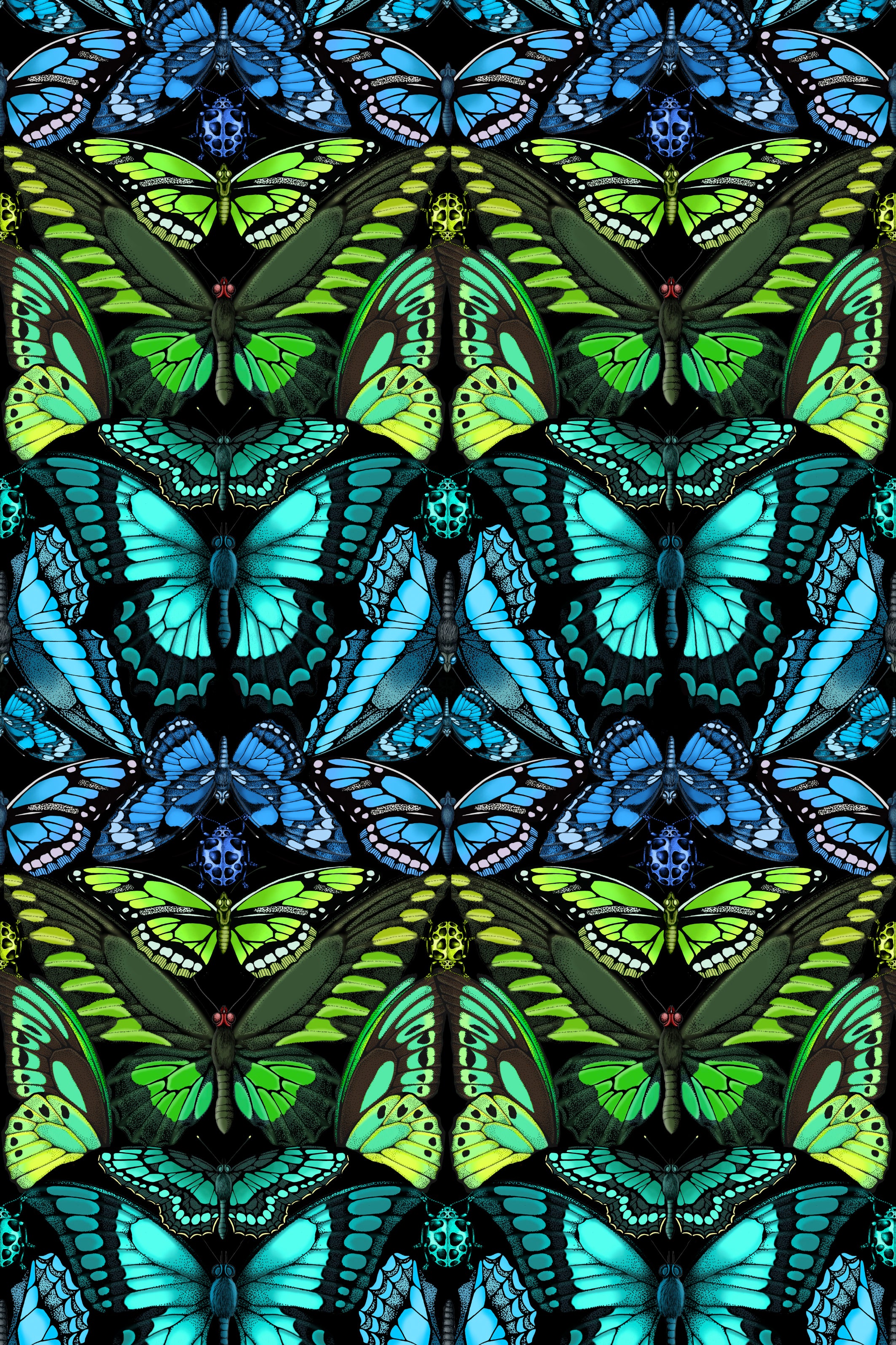 Tropical Butterfly Print