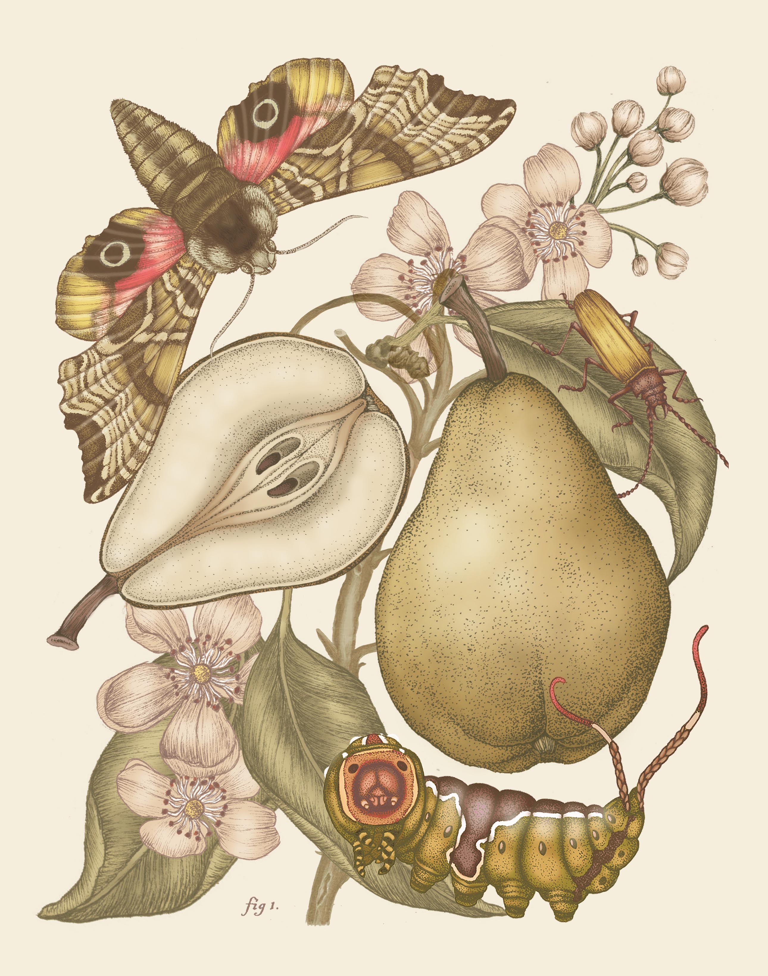 'Pear & Oleander Still Life' Fine Art Print