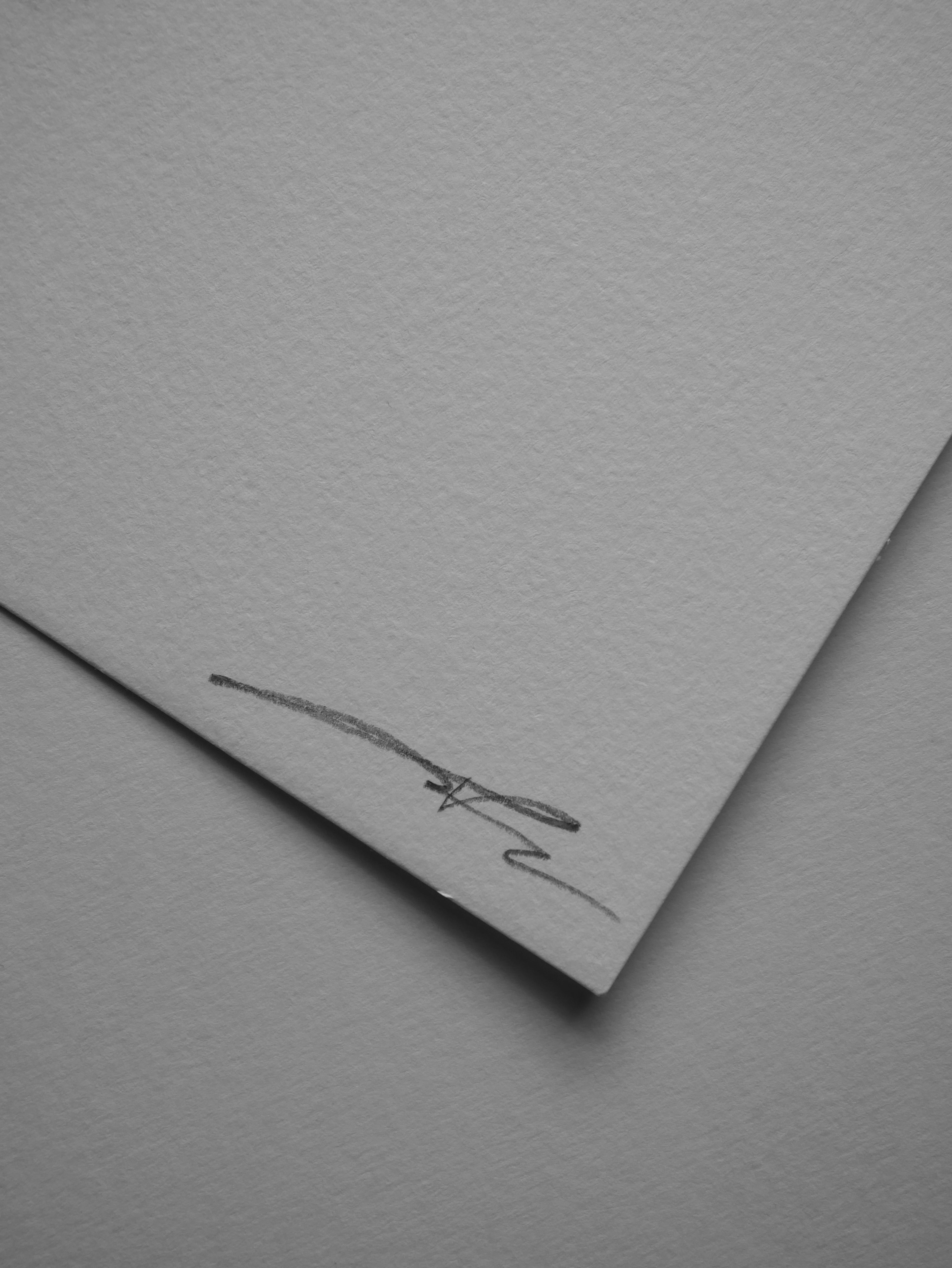 'Roses, 2023' | Signed Original A4 Illustration