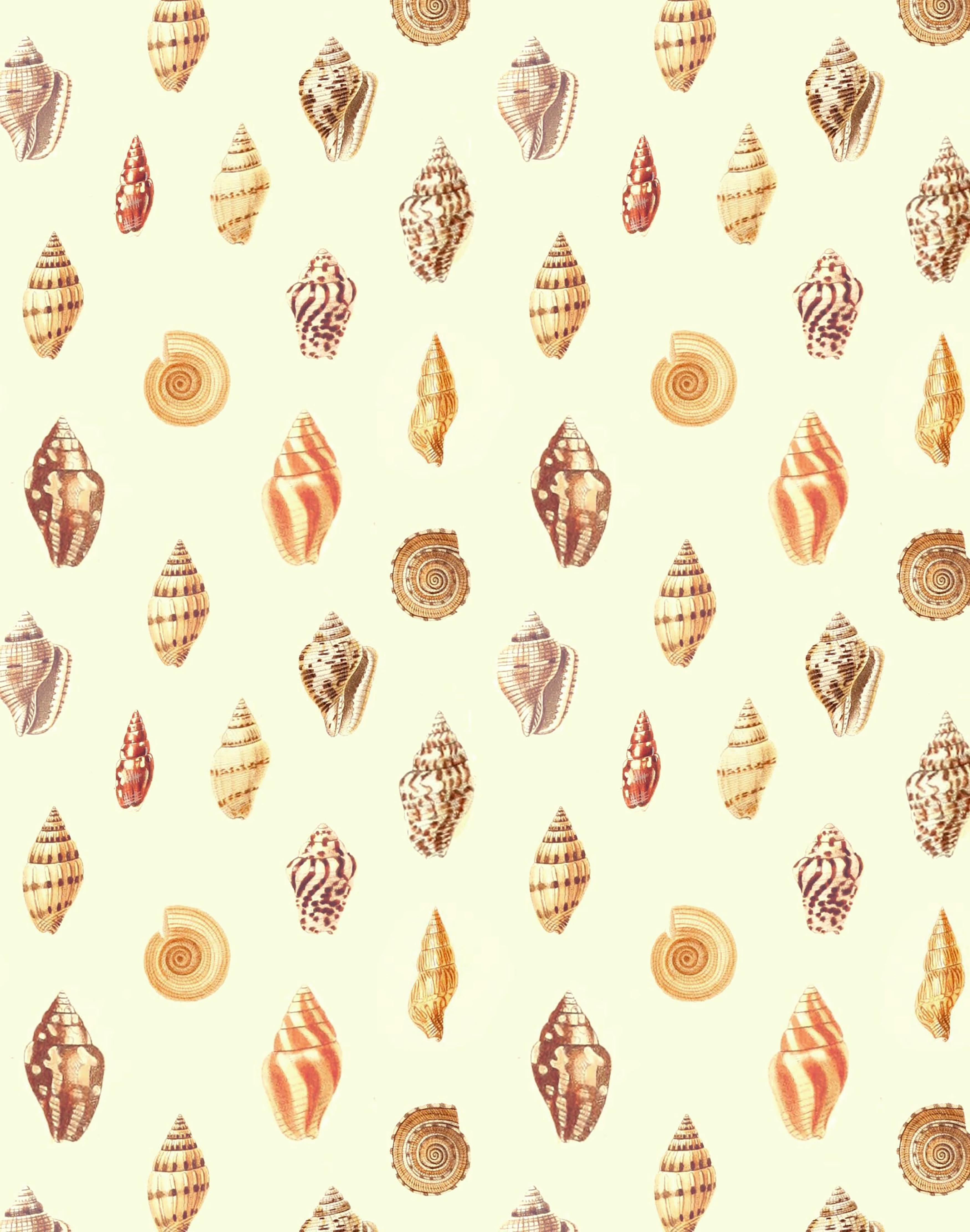 Sea Shell Print - Green