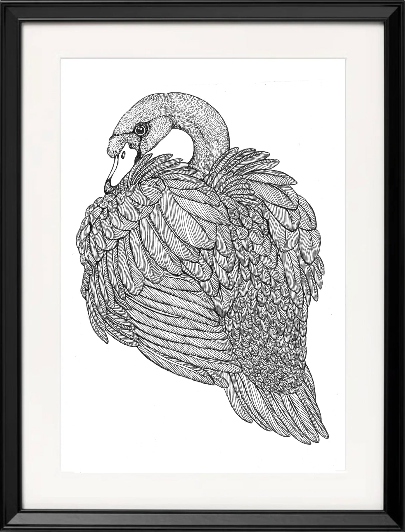 'Swan, 2023' | Signed Original A4 Illustration