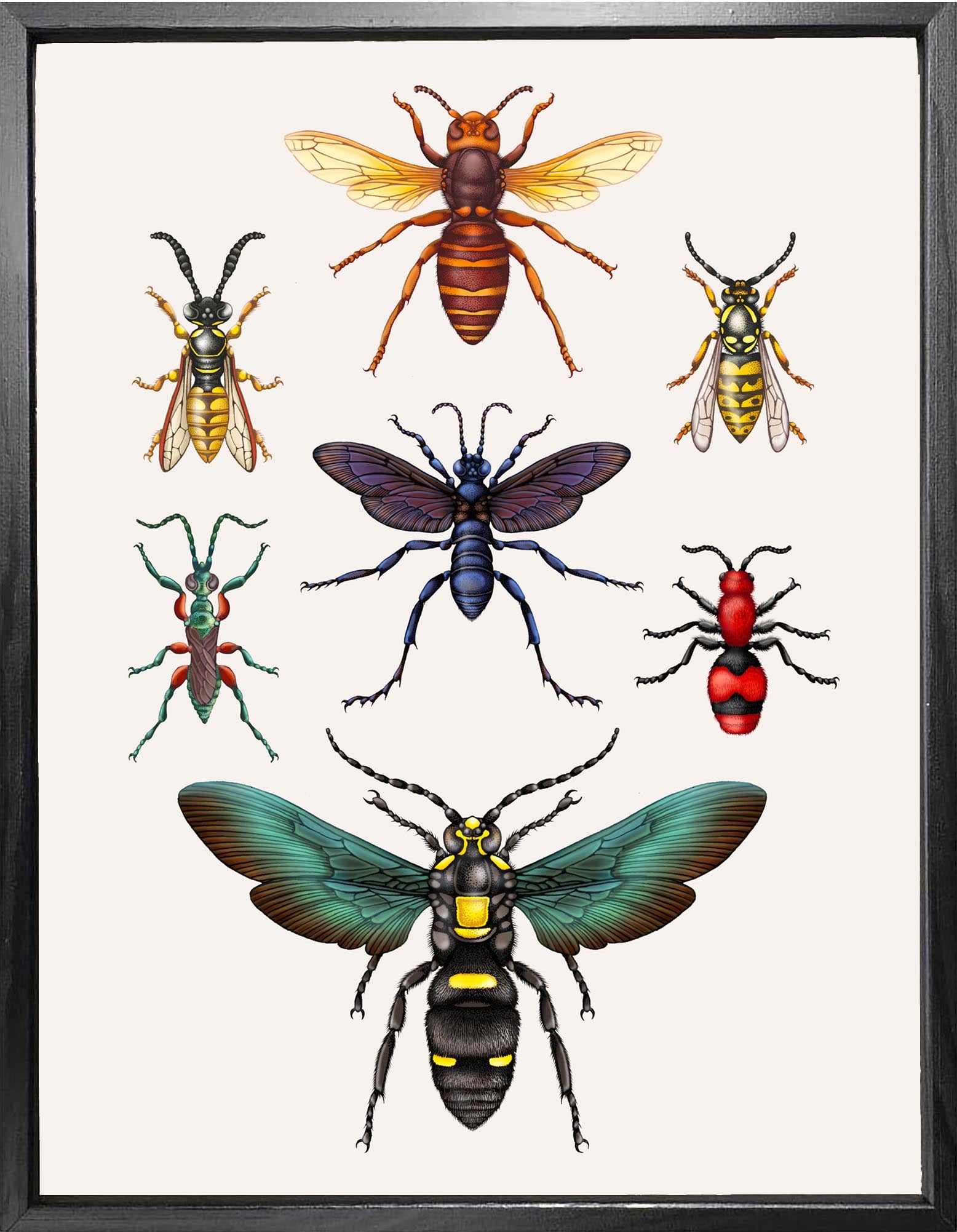 'Wasps' Fine Art Print