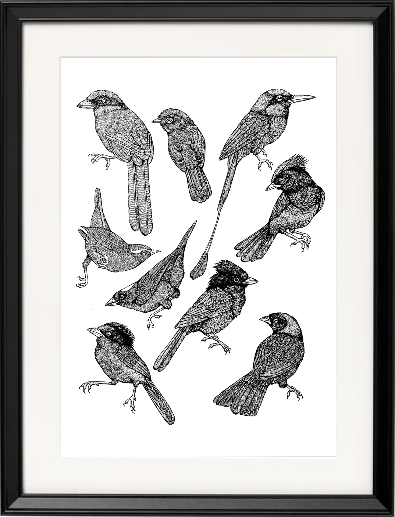 'Tropical Birds, 2023' | Signed Original A3 Illustration