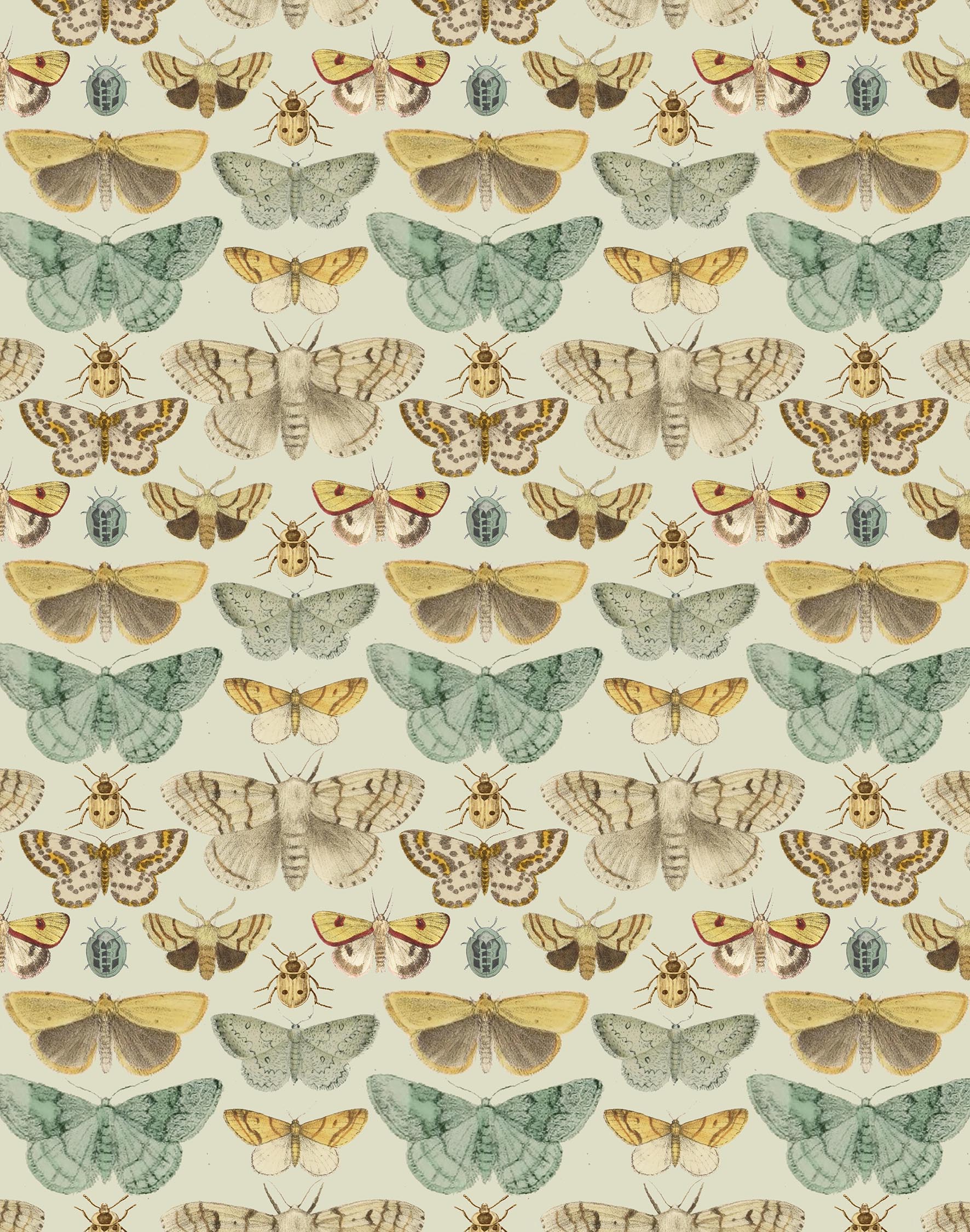 Turquoise Moth Print