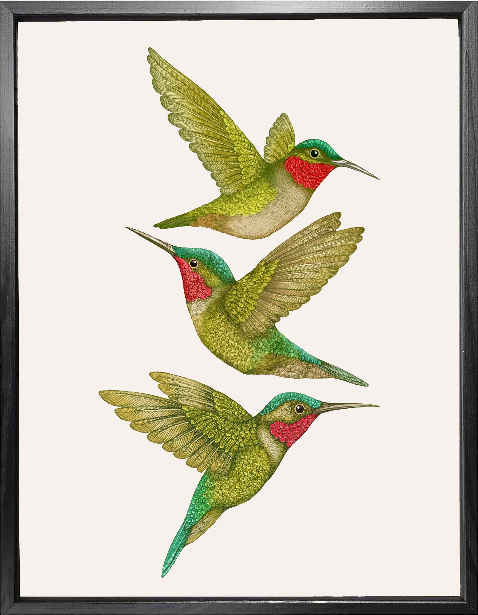 'Antique Tropical Hummingbirds' Cream Fine Art Print