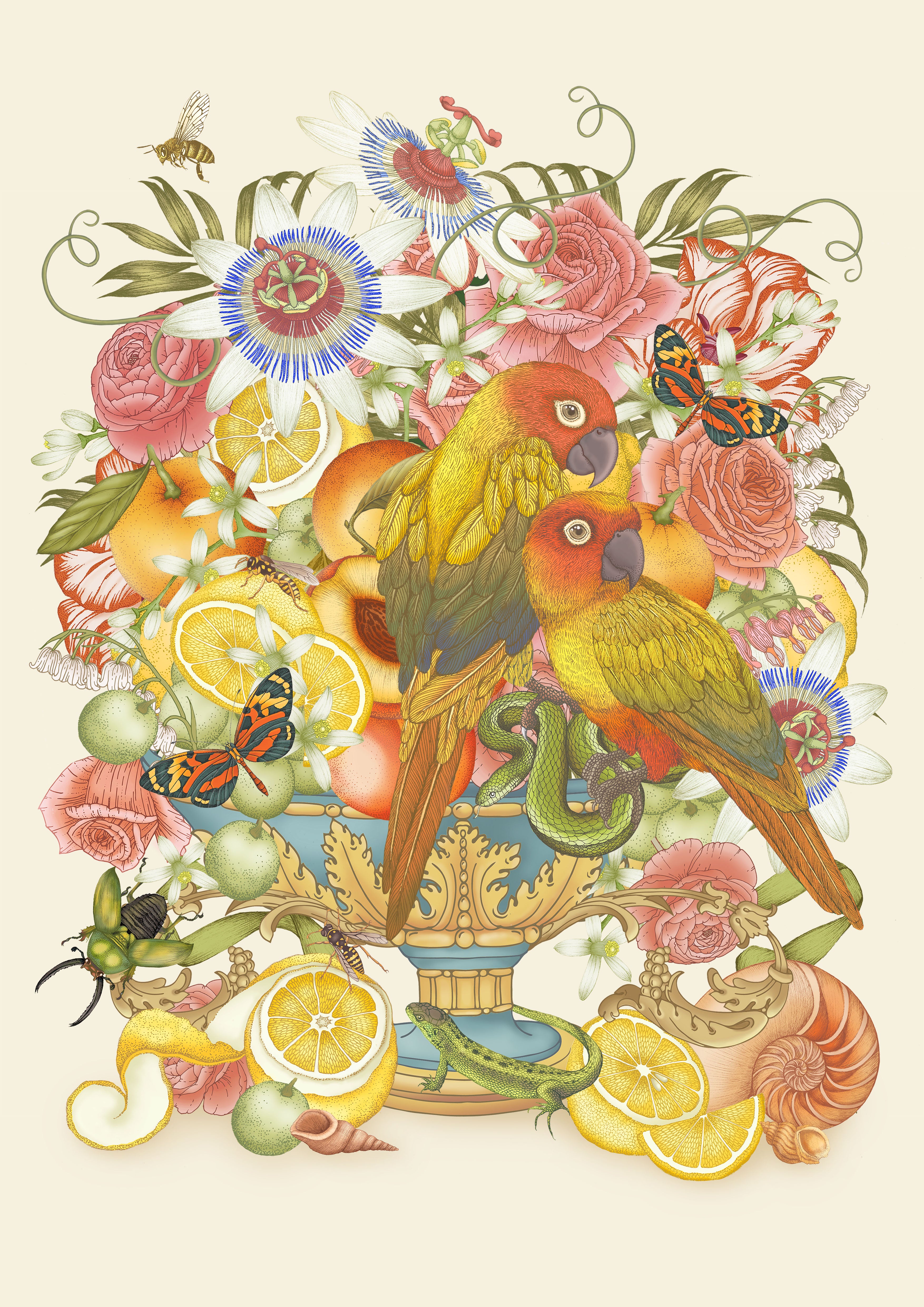 'Parrot Still Life' Fine Art Print
