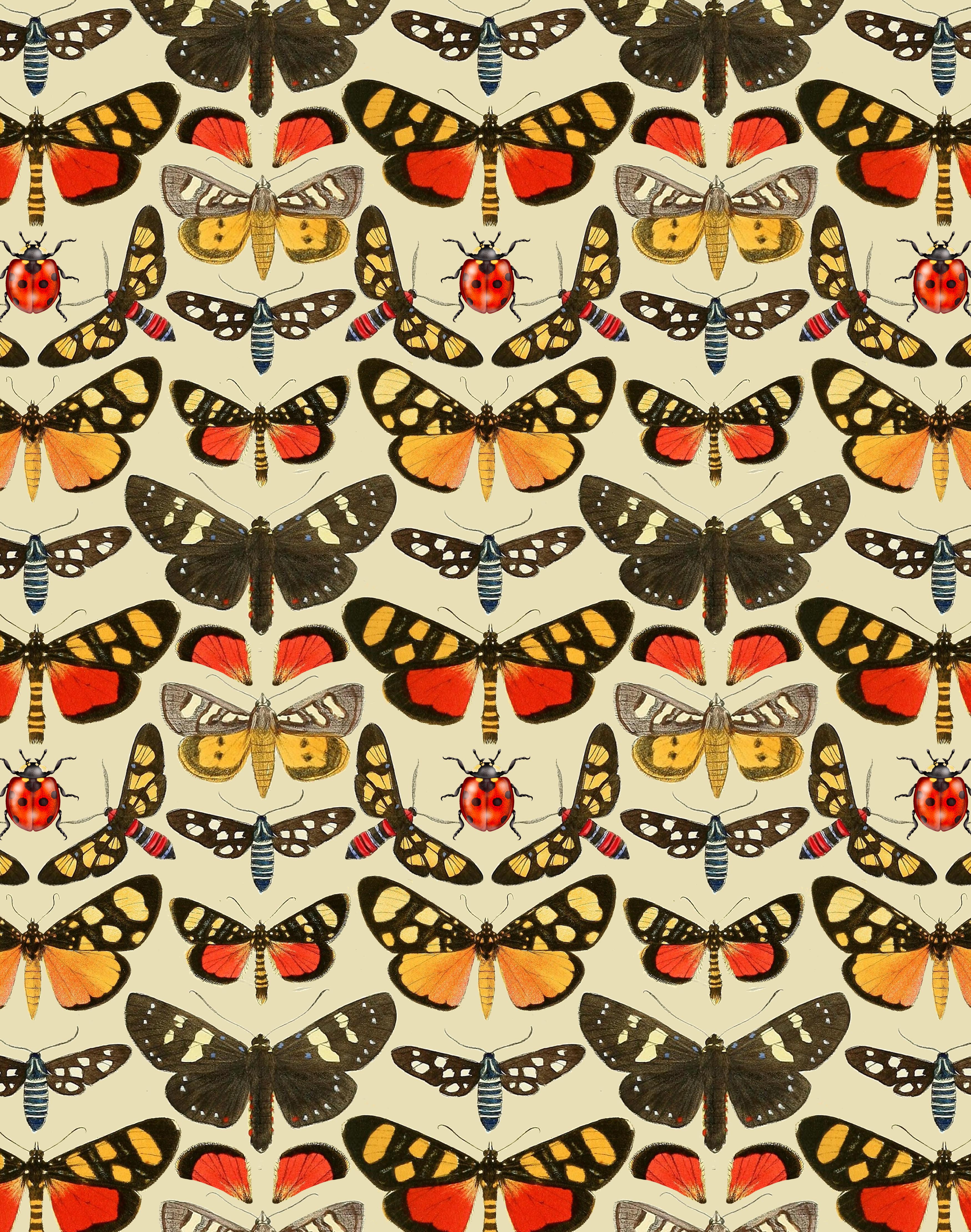 Tiger Moth Print