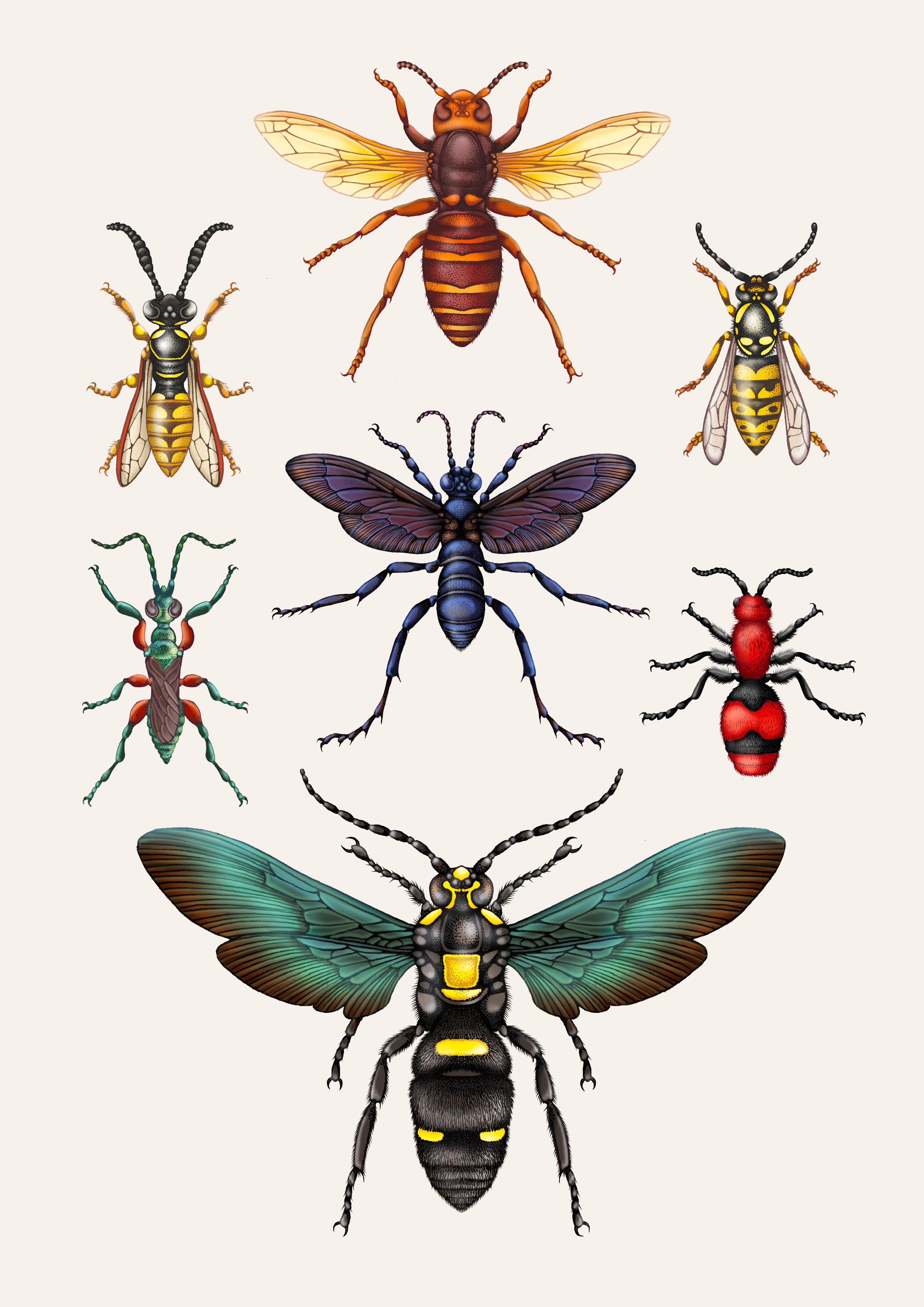 'Wasps' Fine Art Print