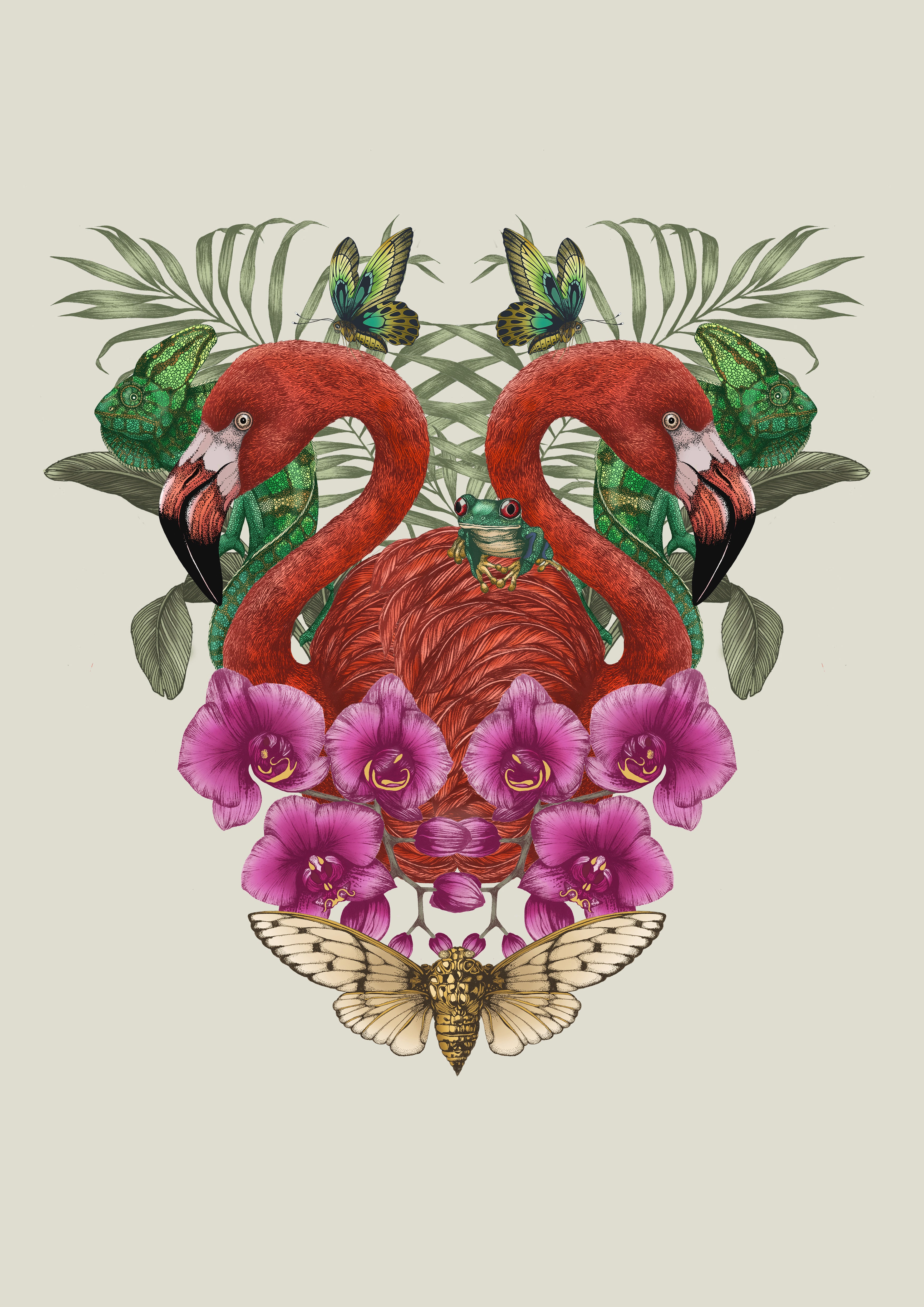 Antique Tropical Flamingo' Giclée Print A2 - Limited Edition