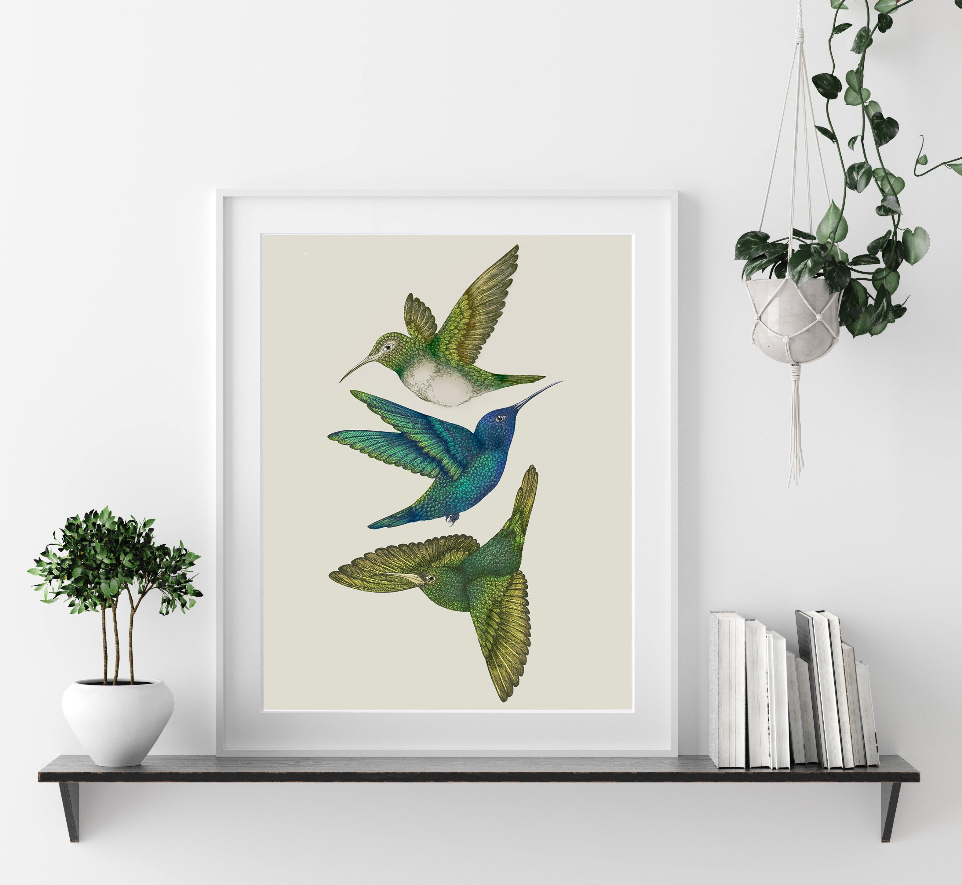 'Antique Hummingbirds III' Fine Art Print - Emily Carter London
