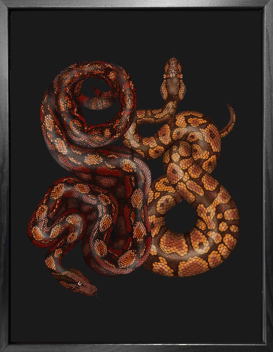Python And Viper Design 'Antique Python & Viper' Fine Art Print
