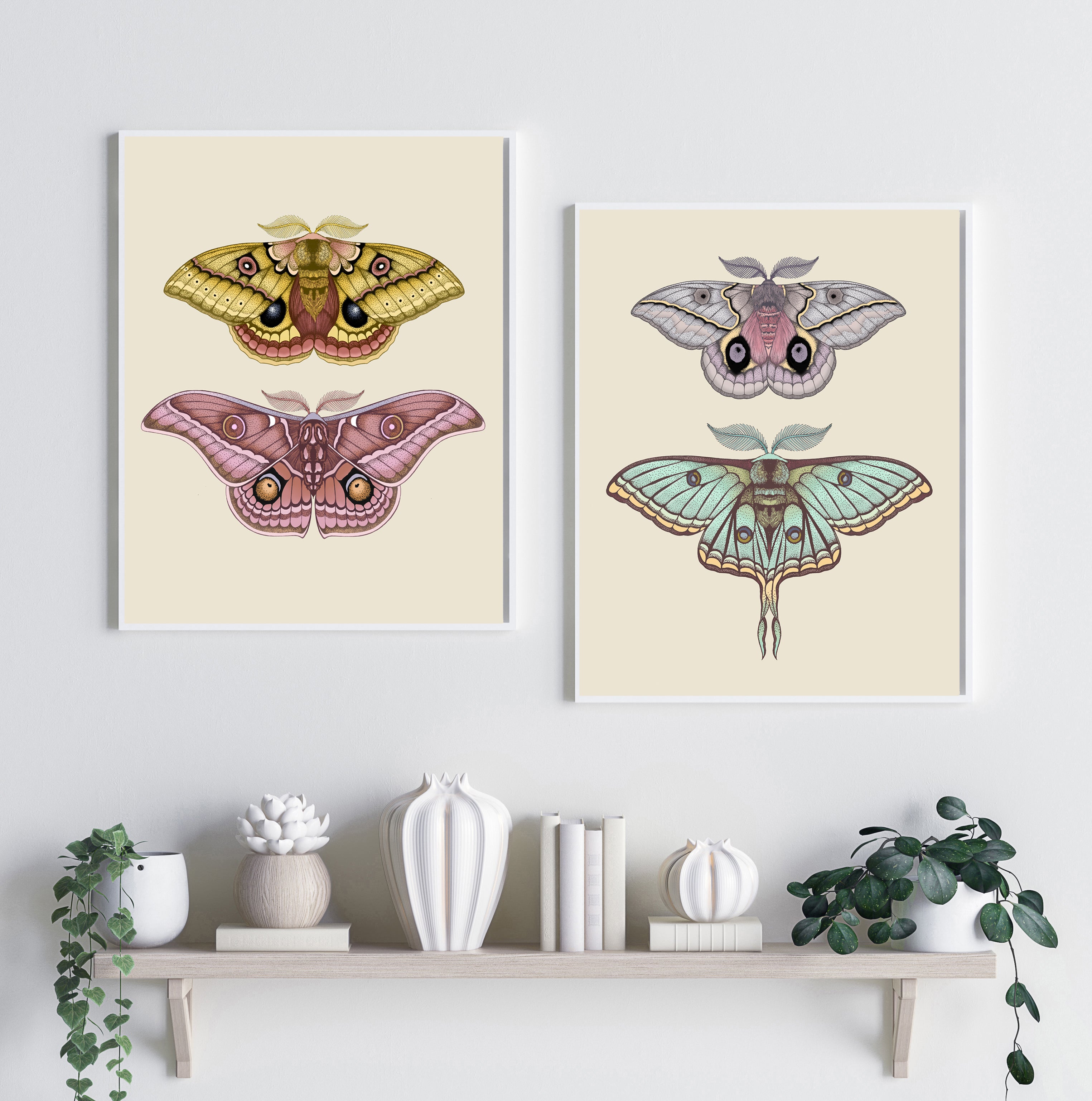 'Antique Io & Emperor Moths' Fine Art Print