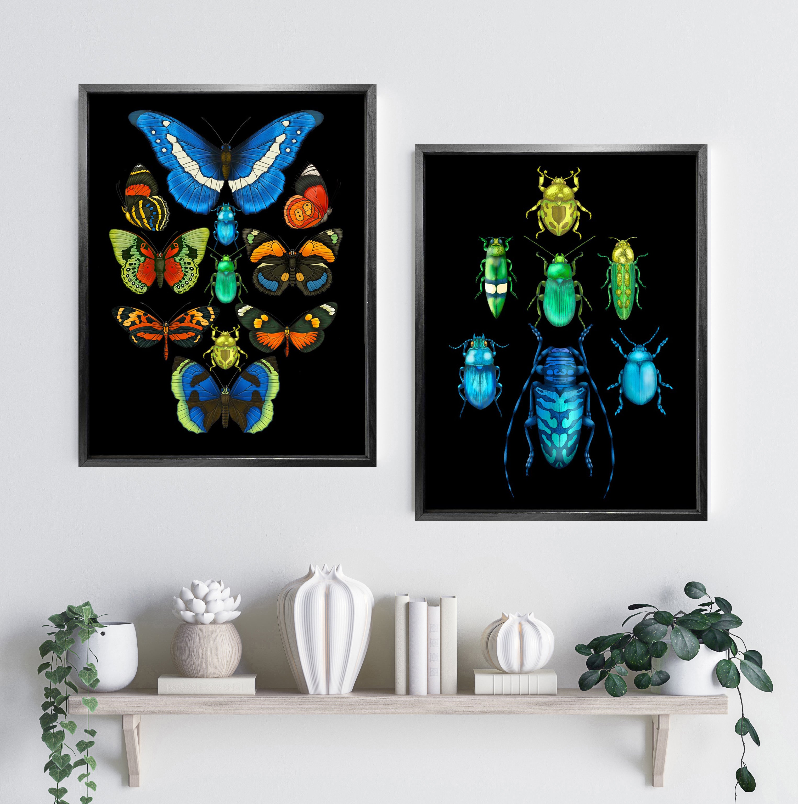 'Antique Tropical Butterflies & Beetles' Fine Art Print
