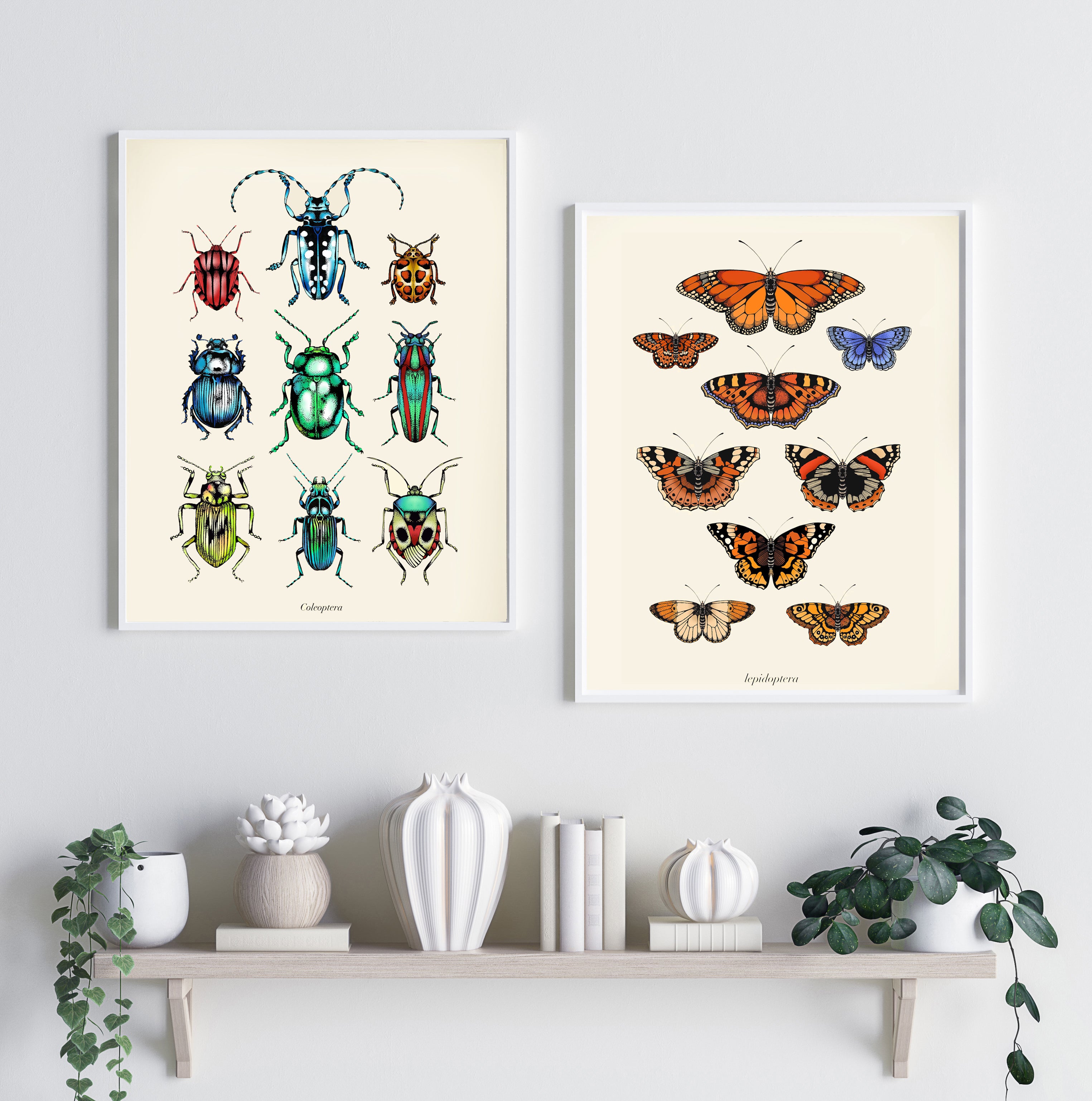 'Antique British Butterflies I' Fine Art Print