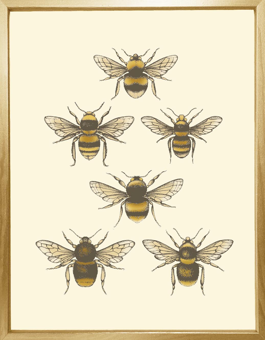 'Antique British Bees' Fine Art Print