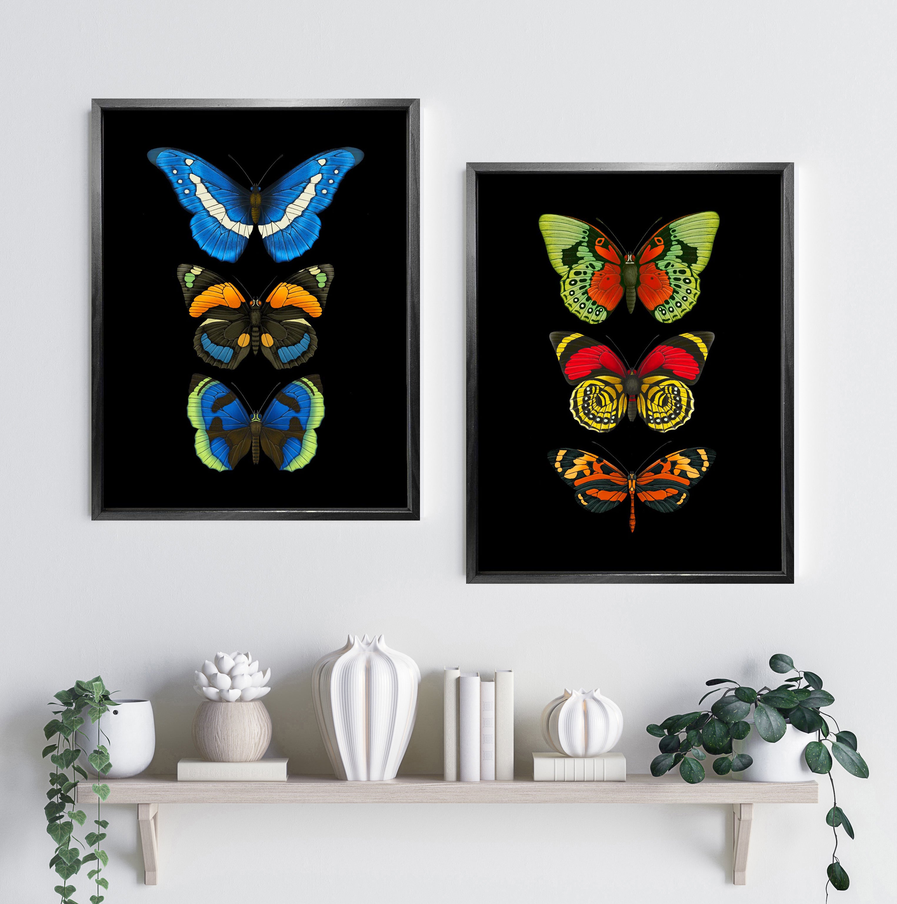 'Antique Tropical Butterflies V' Fine Art Print