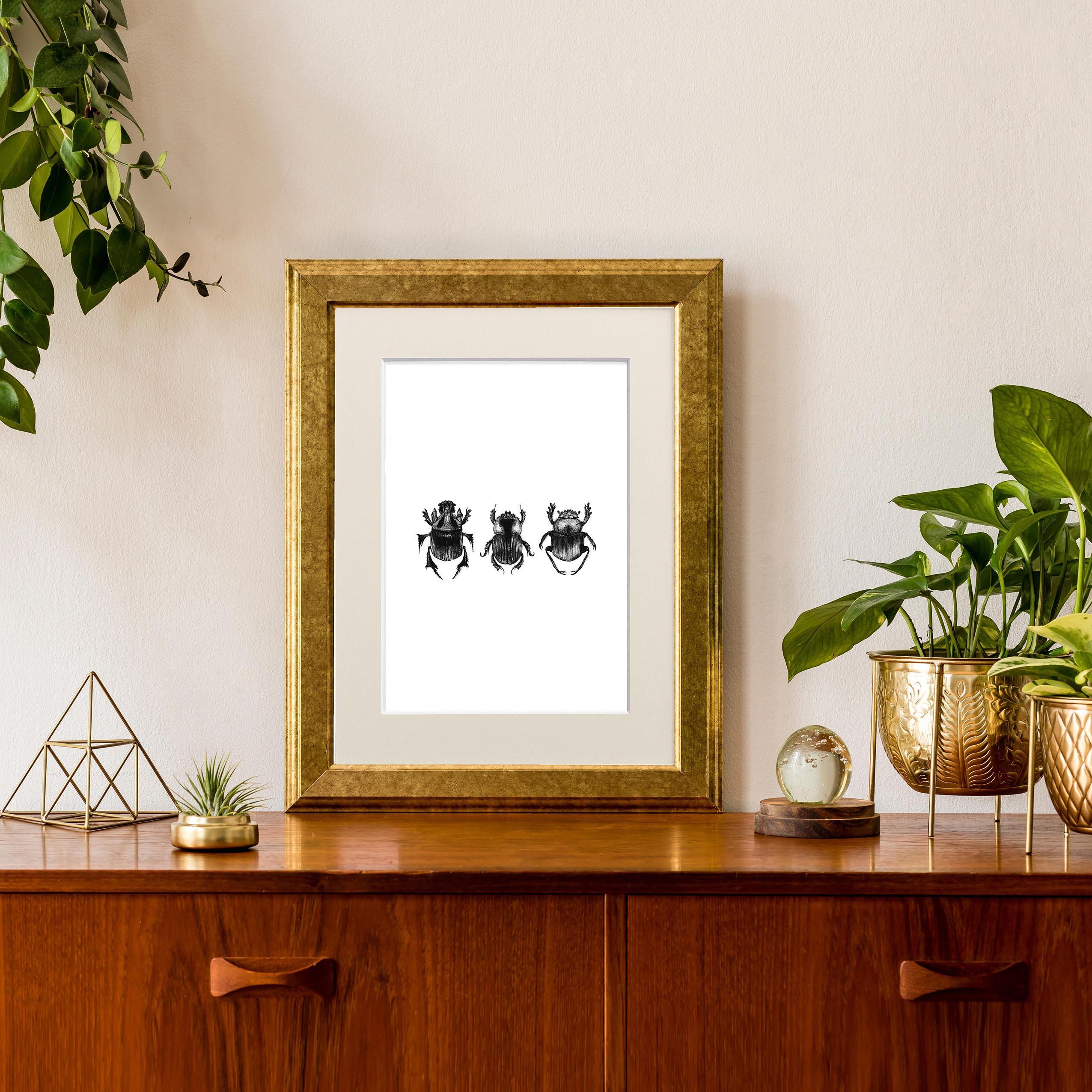 'Dung Beetles' Fine Art Print - Emily Carter London