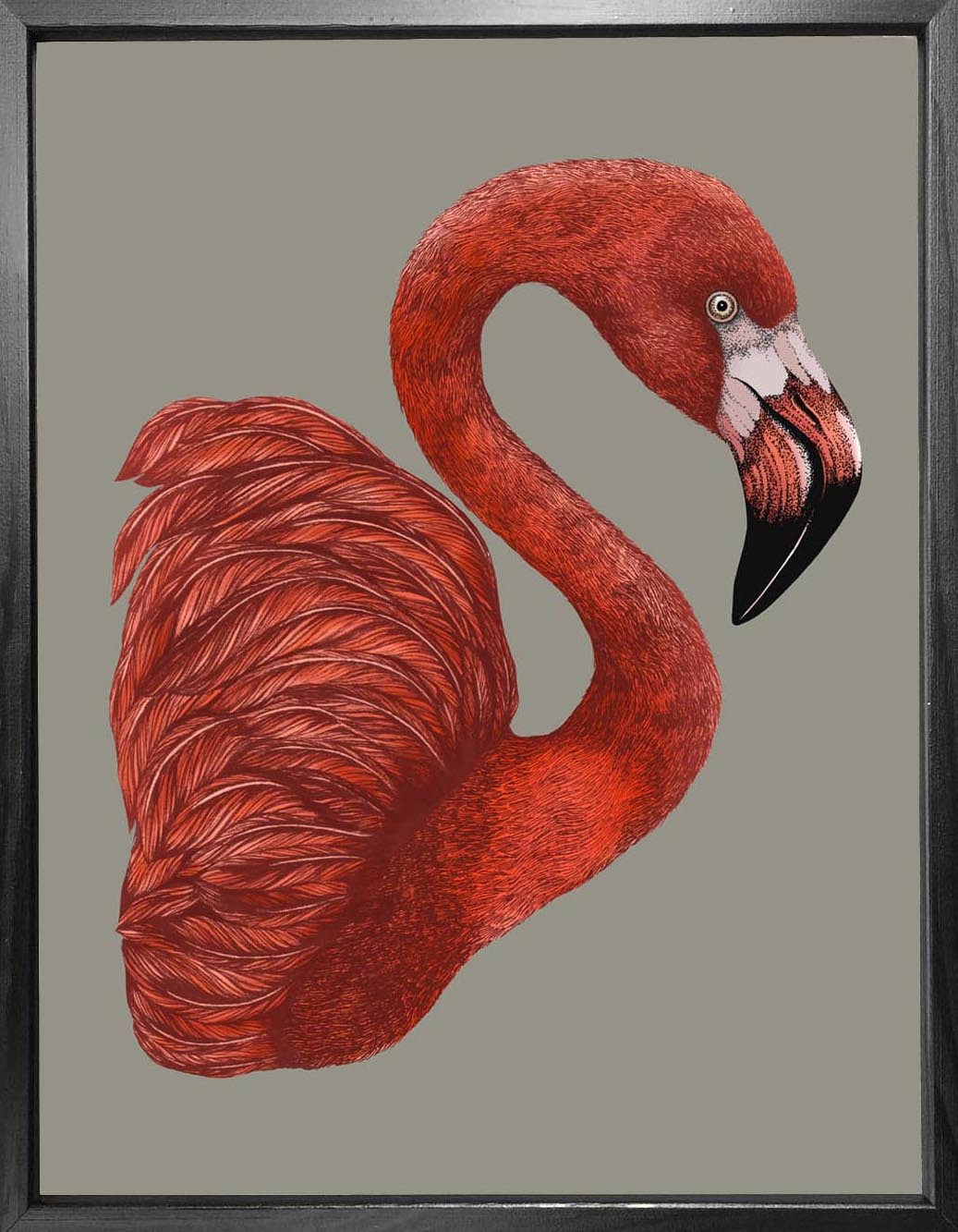 'Antique Flamingo I' Fine Art Print