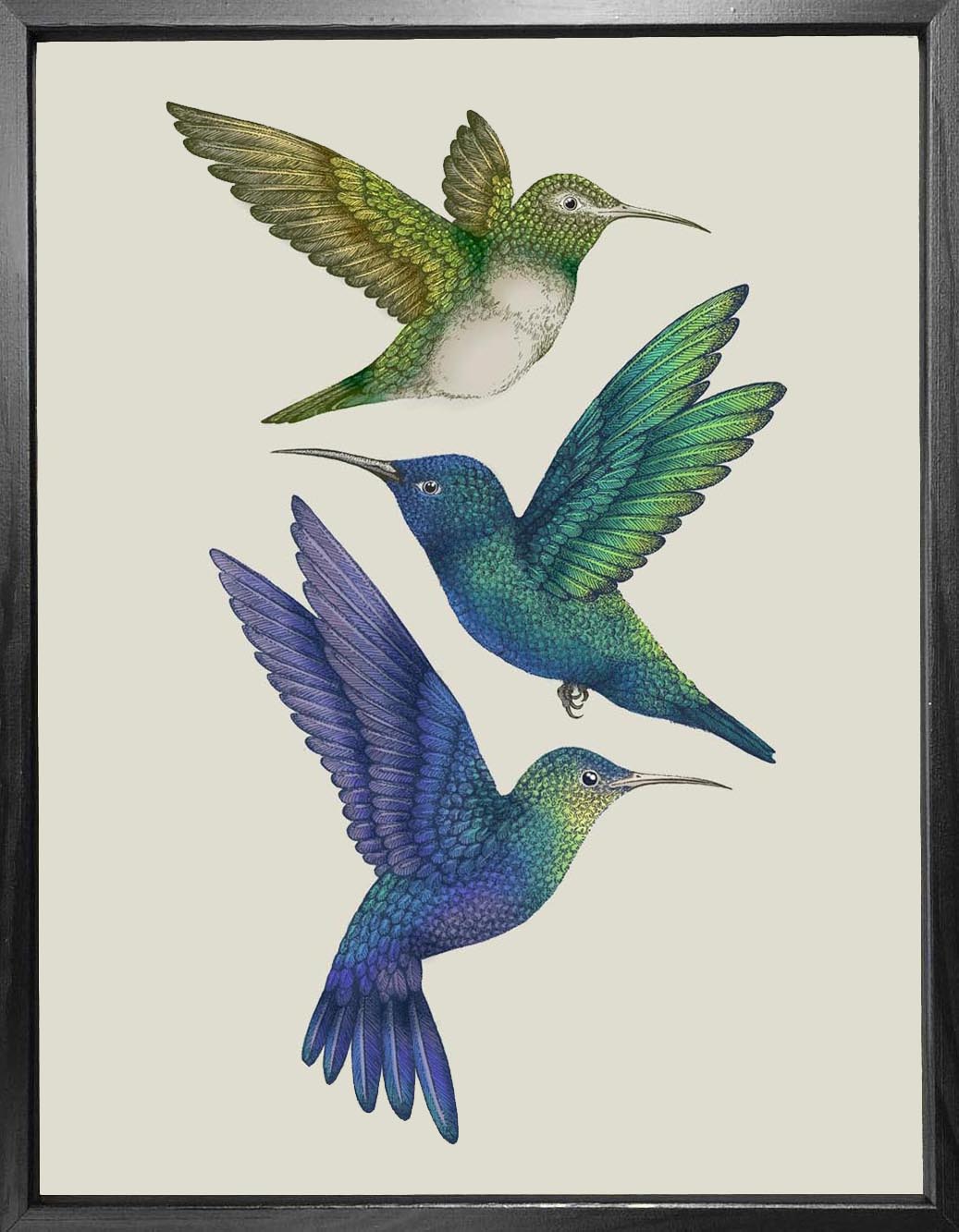 'Antique Hummingbirds II' Fine Art Print