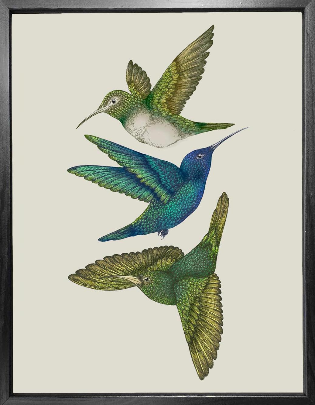 'Antique Hummingbirds III' Fine Art Print