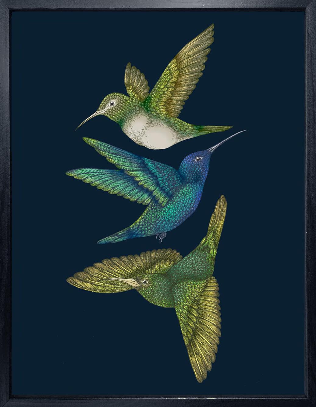 'Antique Hummingbirds III' Indigo Fine Art Print