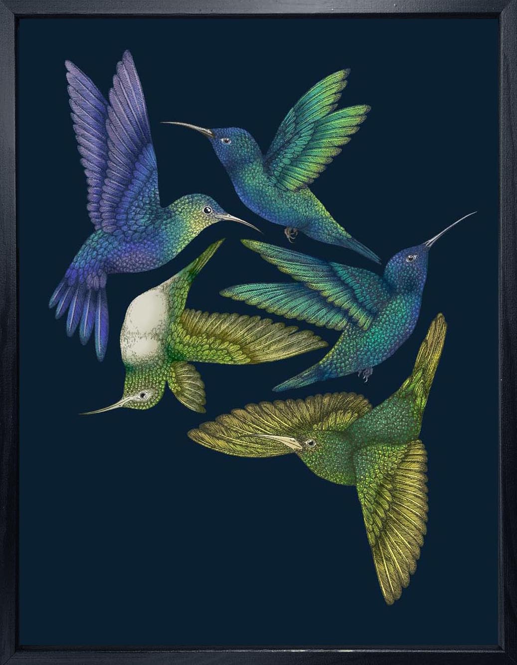 'Antique Hummingbirds I' Indigo Fine Art Print