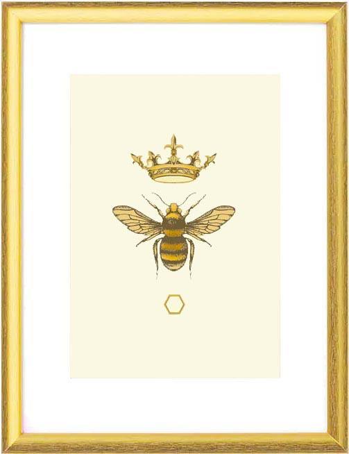 'Antique Honey Queen Bee' Fine Art Print - Emily Carter London