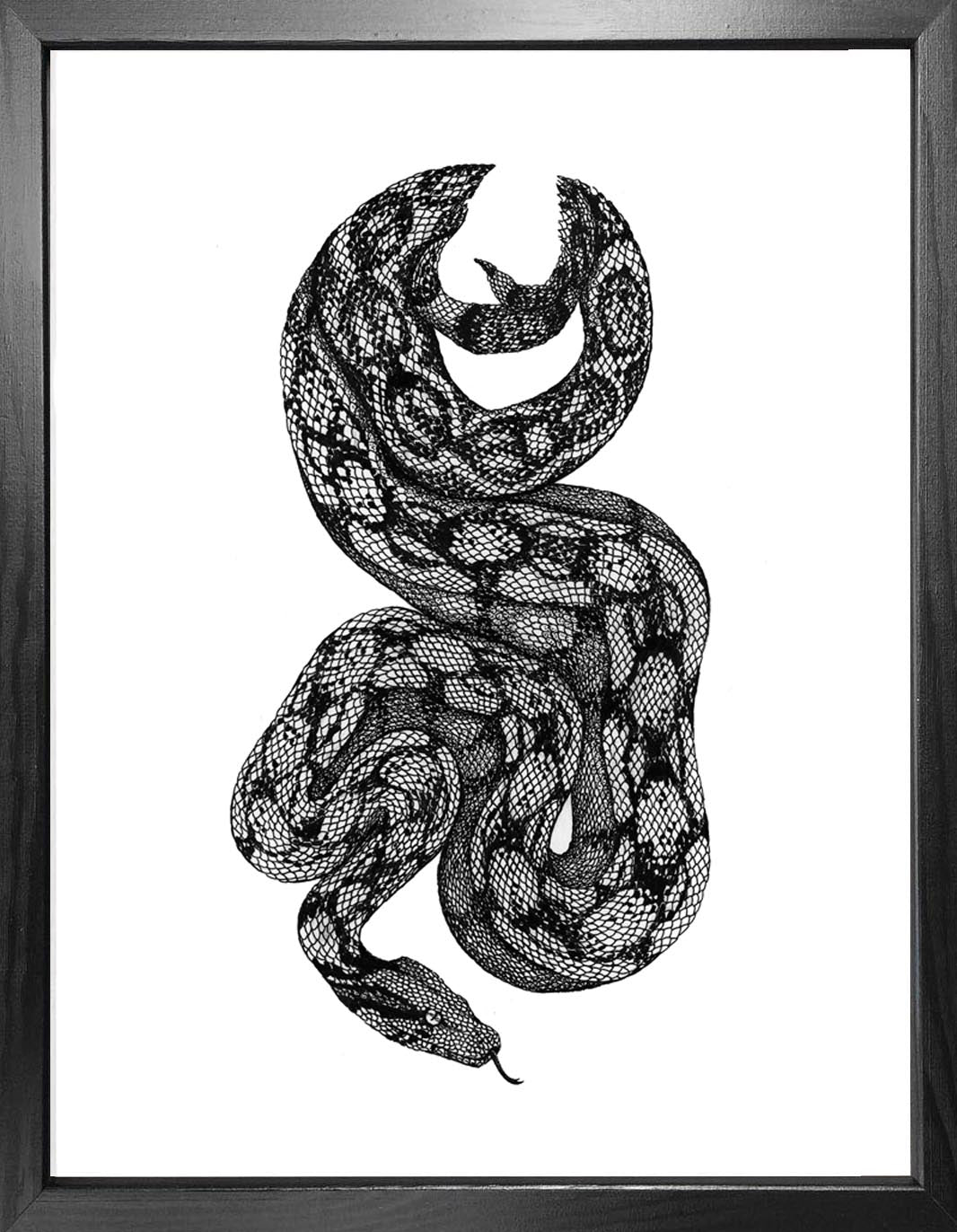 'Boa Constrictor' Fine Art Print