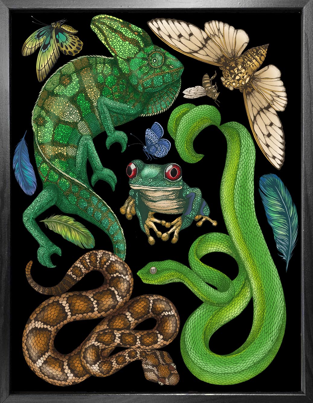 'Antique Reptiles & Amphibians - Black' Fine Art Print