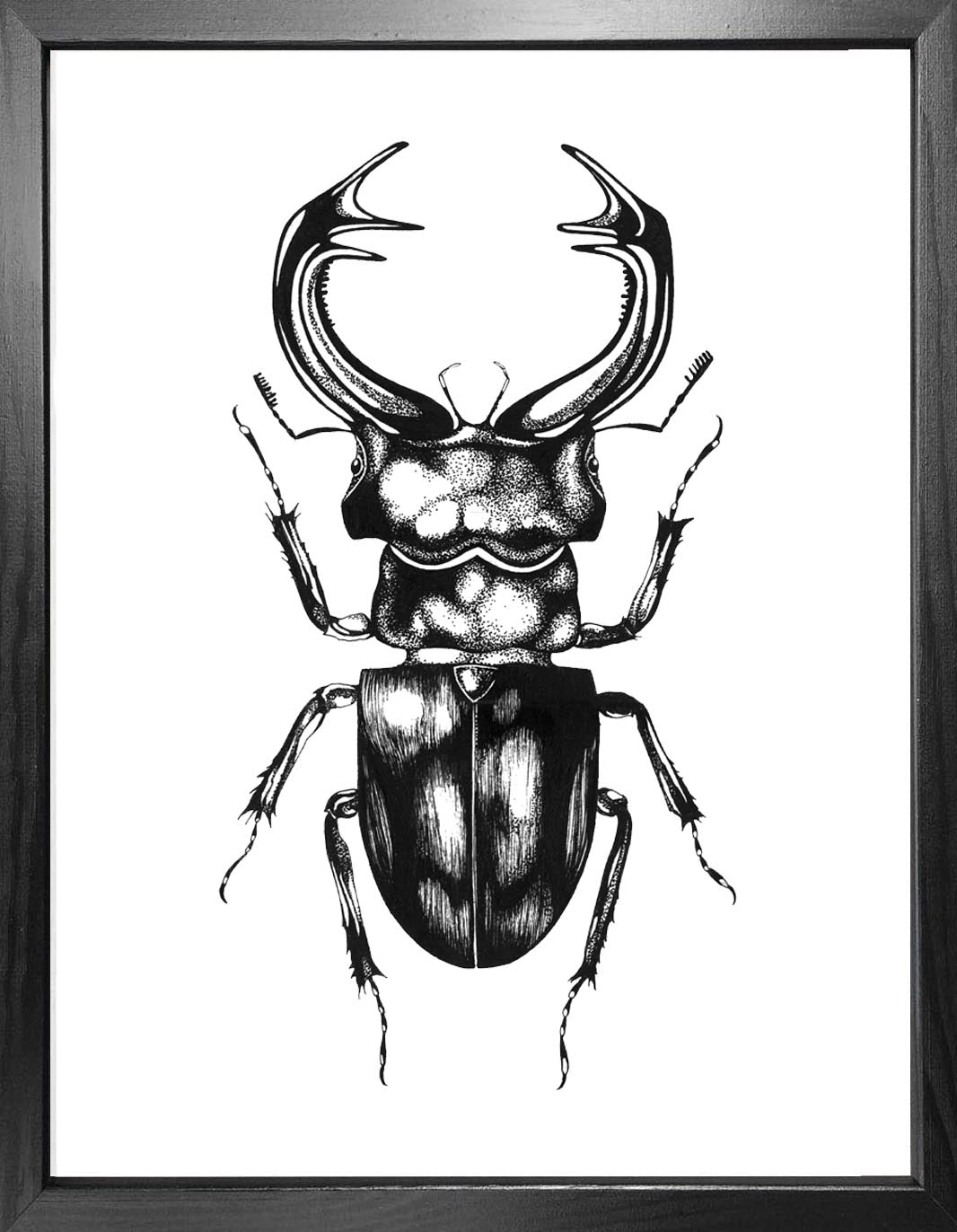 'The Stag Beetle' Fine Art Print