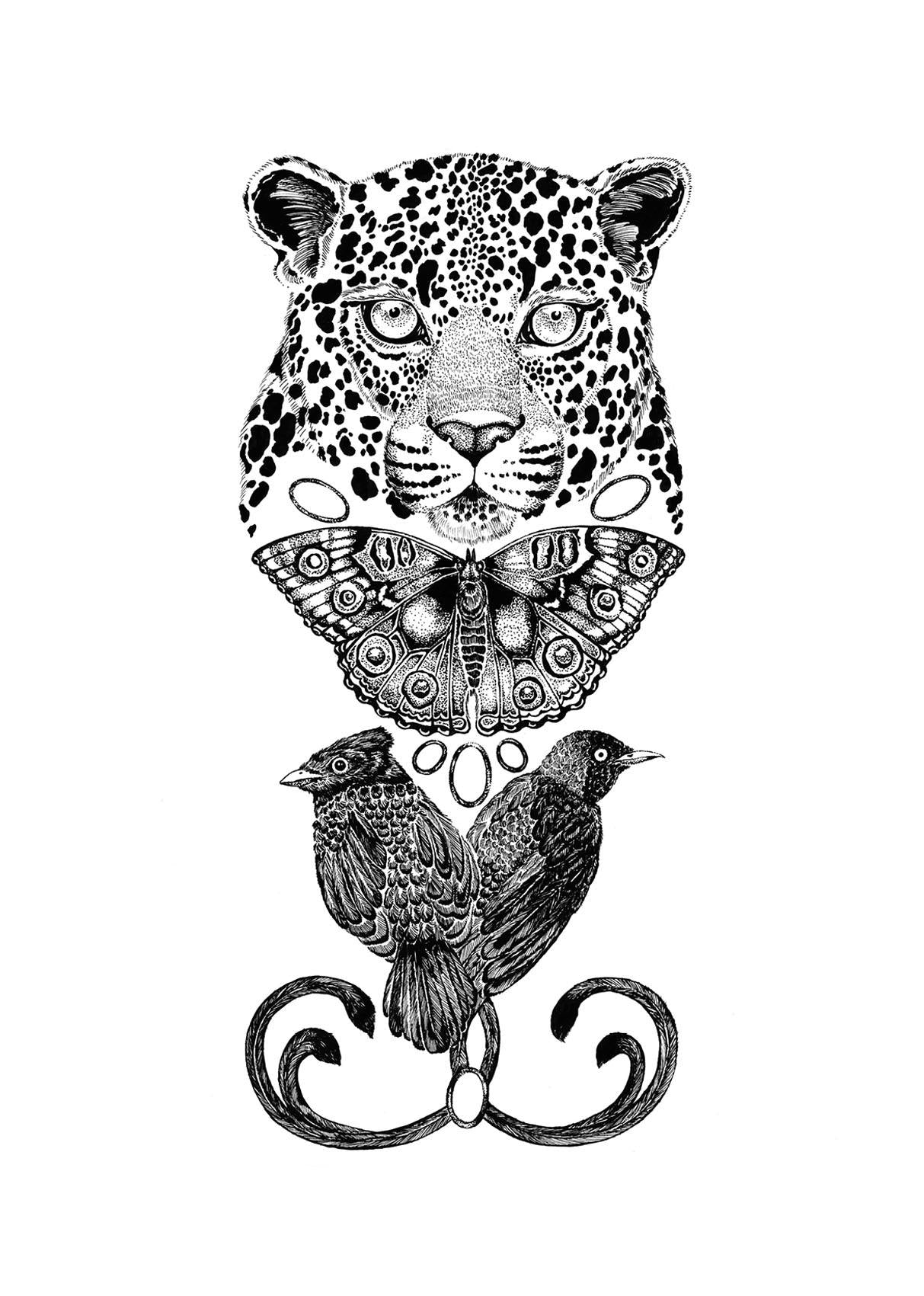 'The Tropical Leopard' Fine Art Print - Emily Carter London